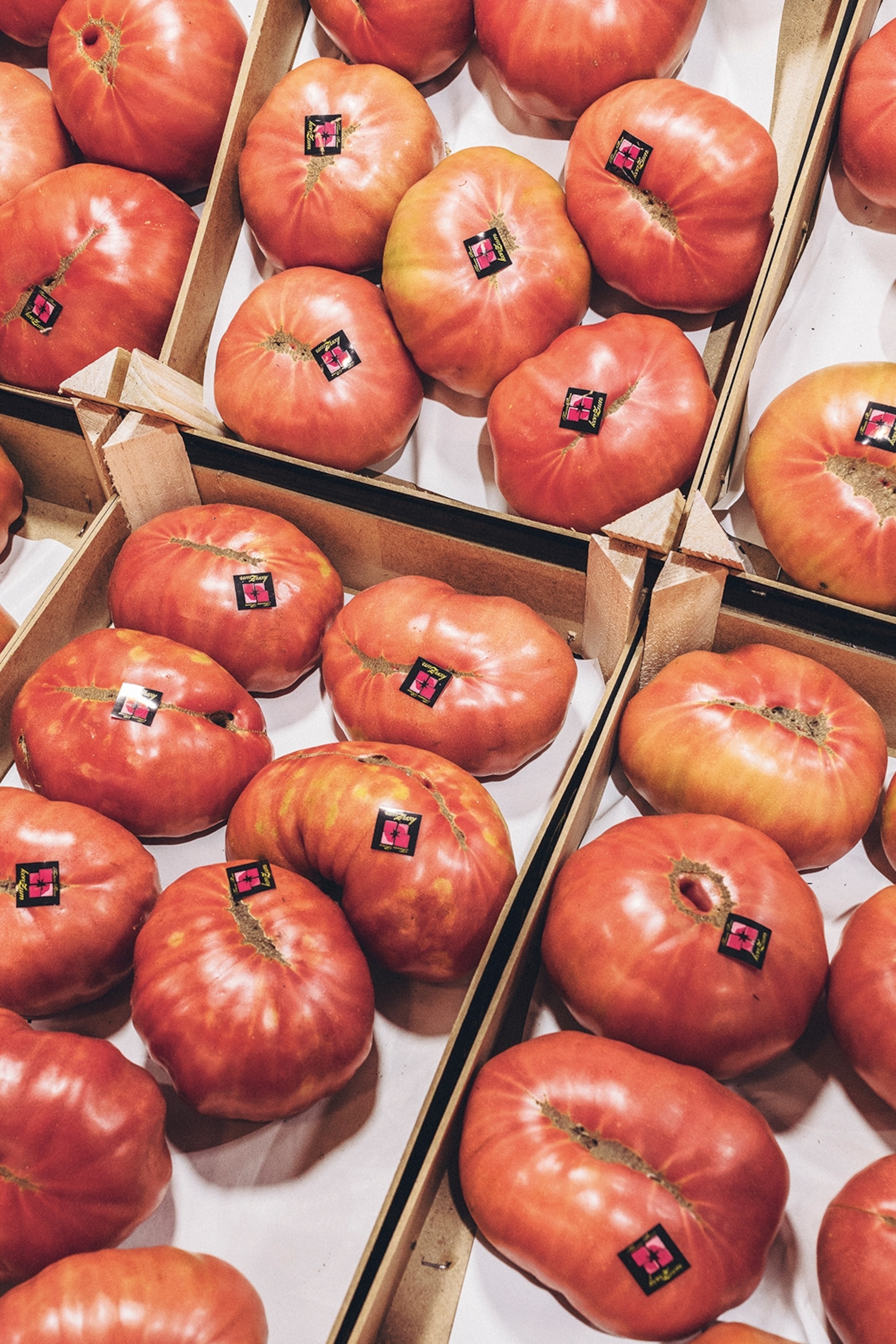 A close-up of pink beef tomatoes in carton boxes.
