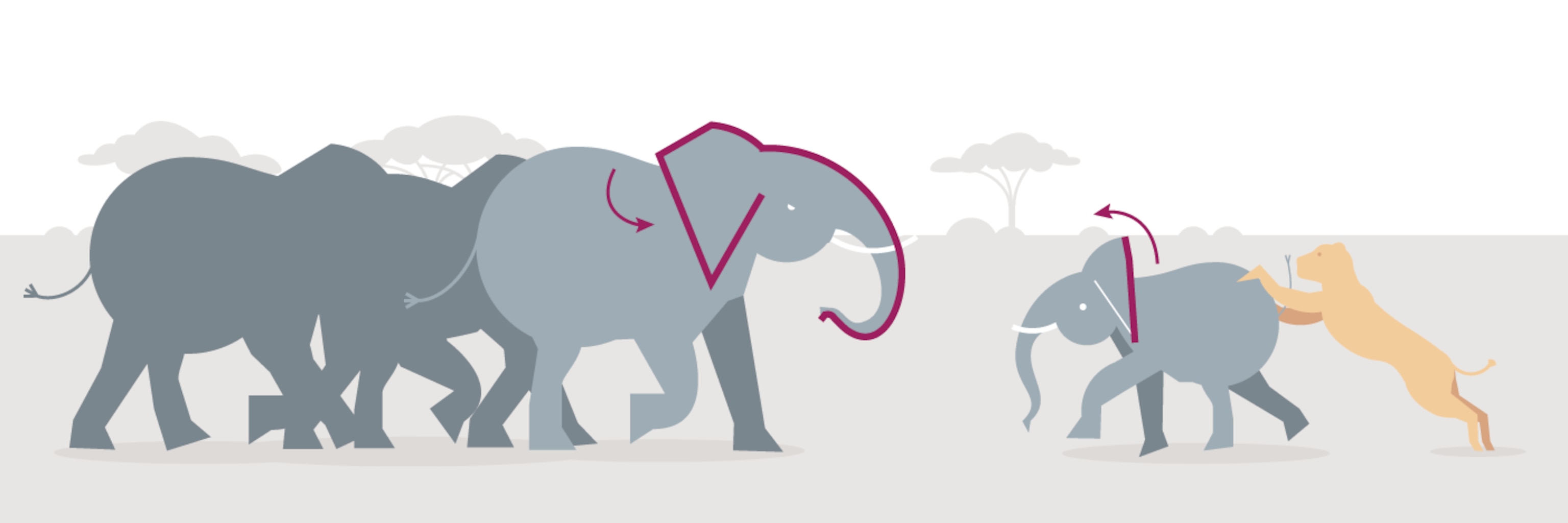 What Elephant Calls Mean: A User’s Guide | National Geographic
