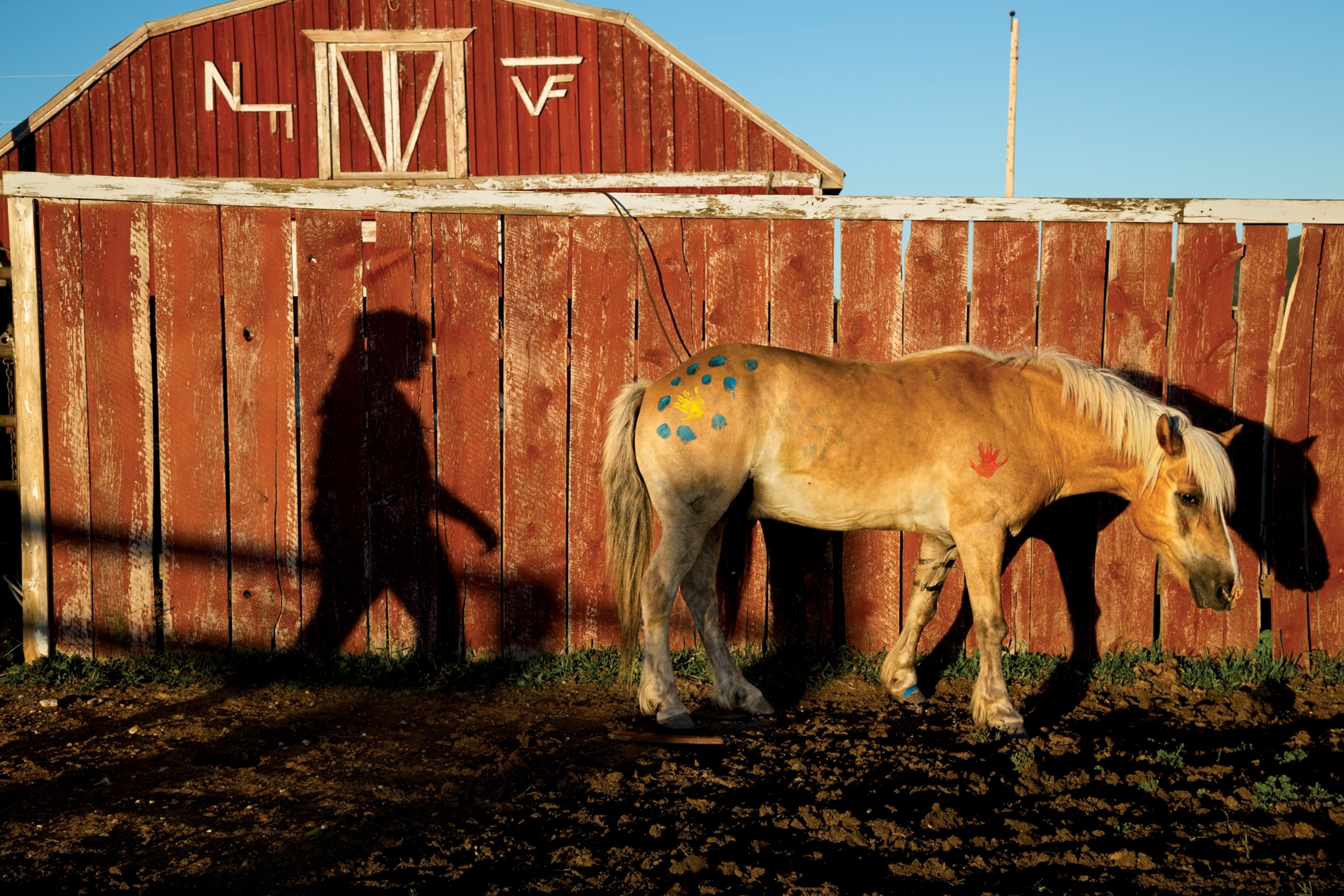 a horse and shadow of a person along a barn wall
