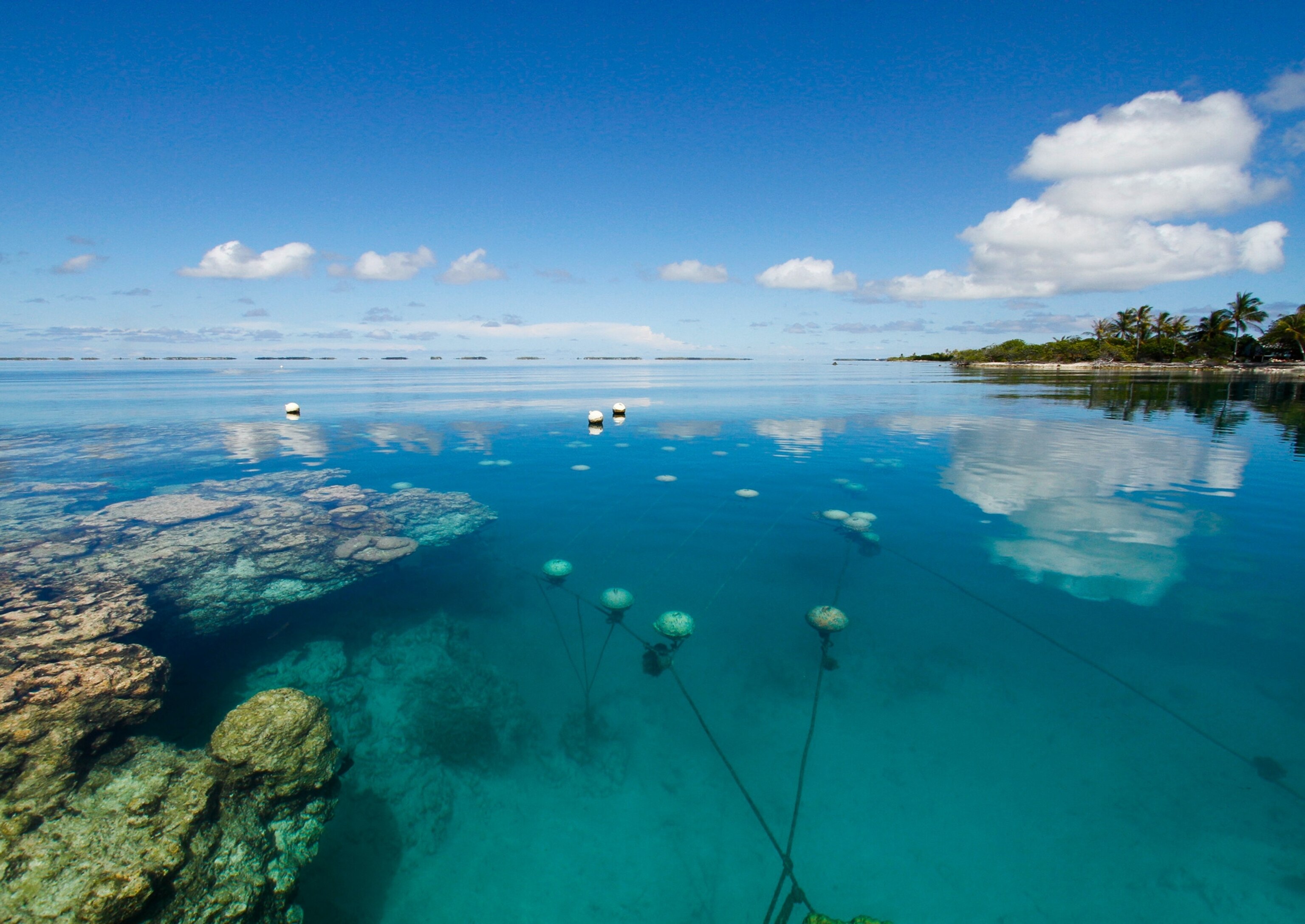 Pearl Farming - Picture of buoys at Kamoka Farm
