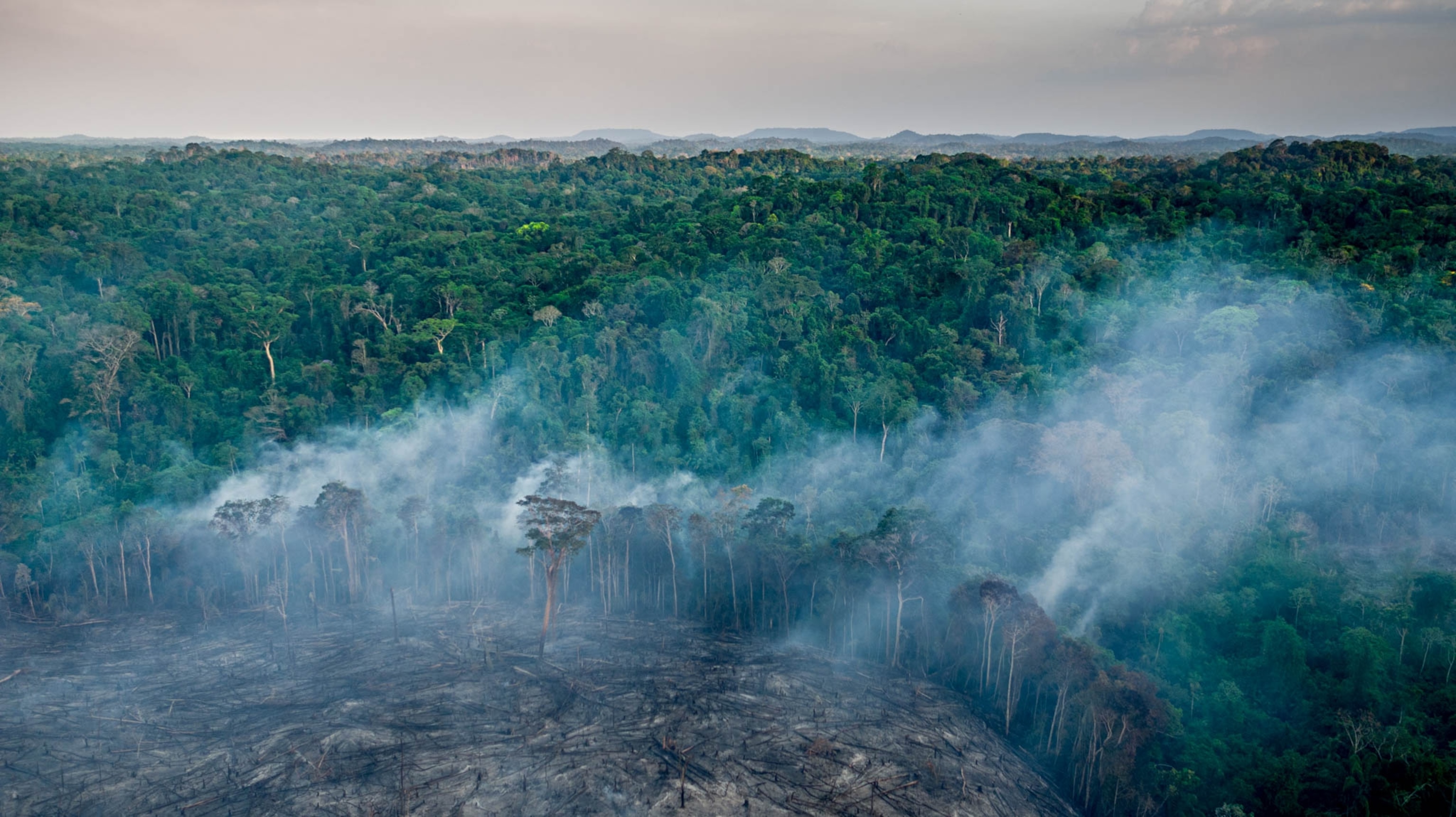 a manioc field being burned, shown from an aerial view