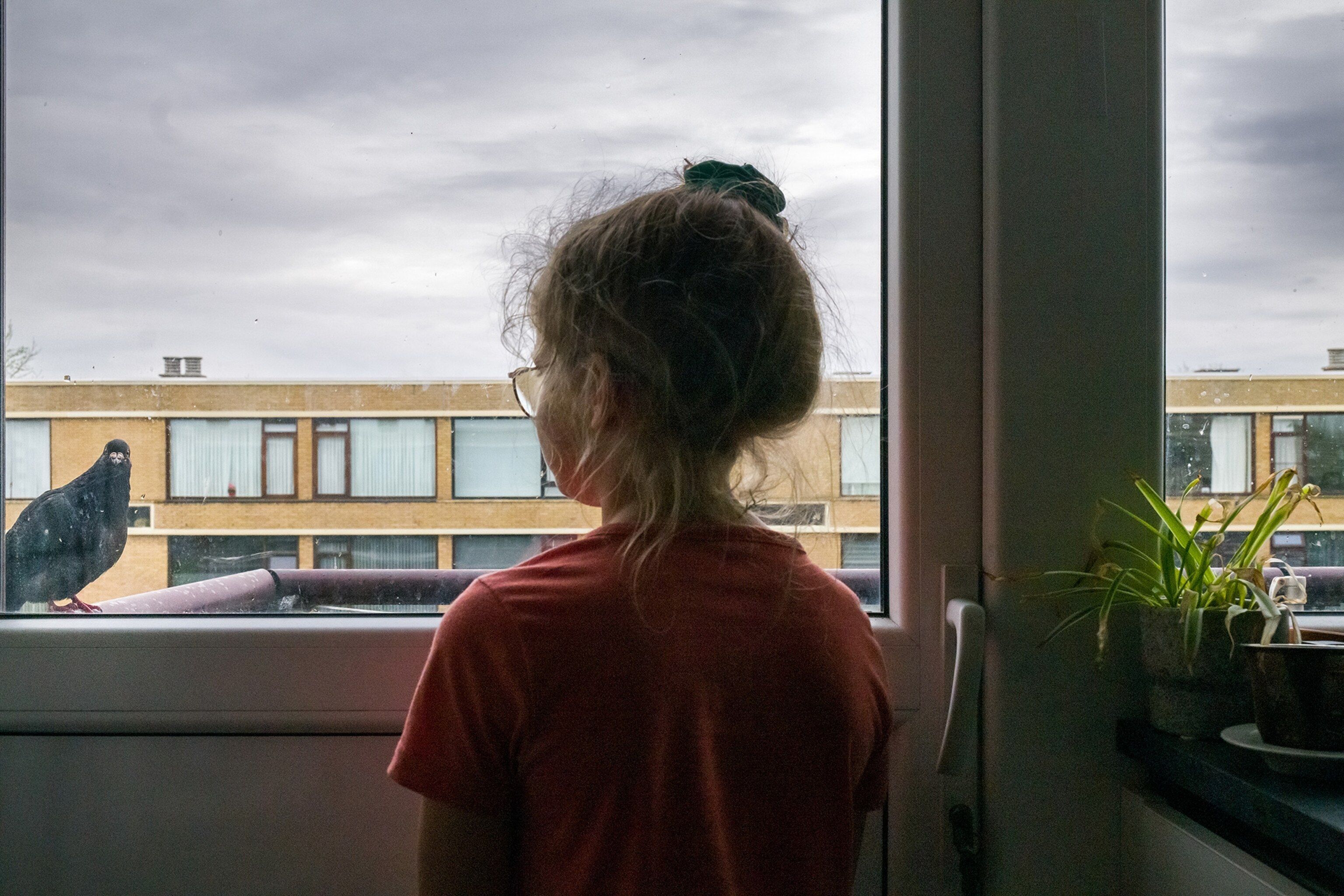 the back of a girl looking out the window at a pigeon
