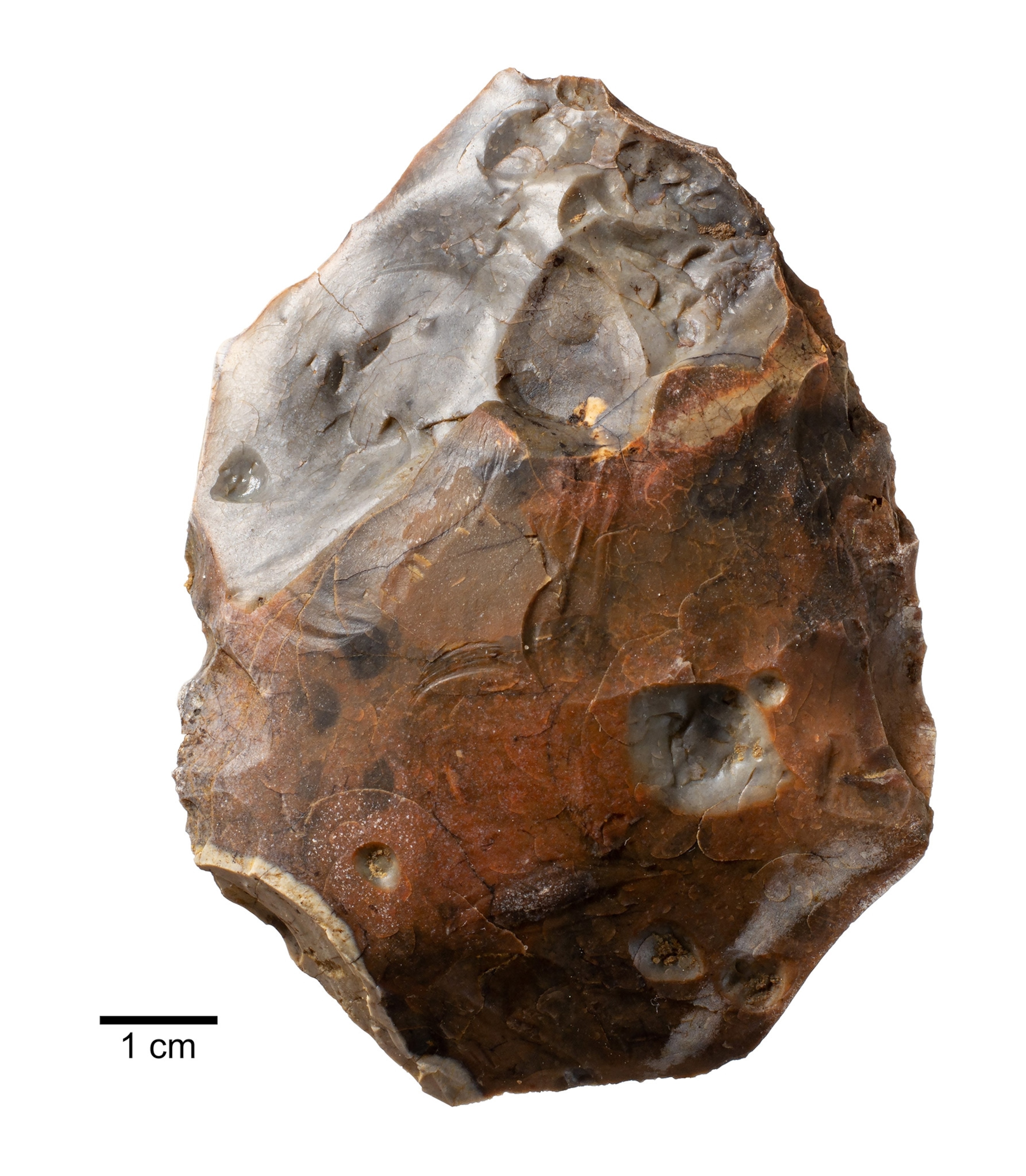 Brown flint hand axe, wide at bottom and narrowing at top, against white background. The flint has visible marks where slivers have splintered off.