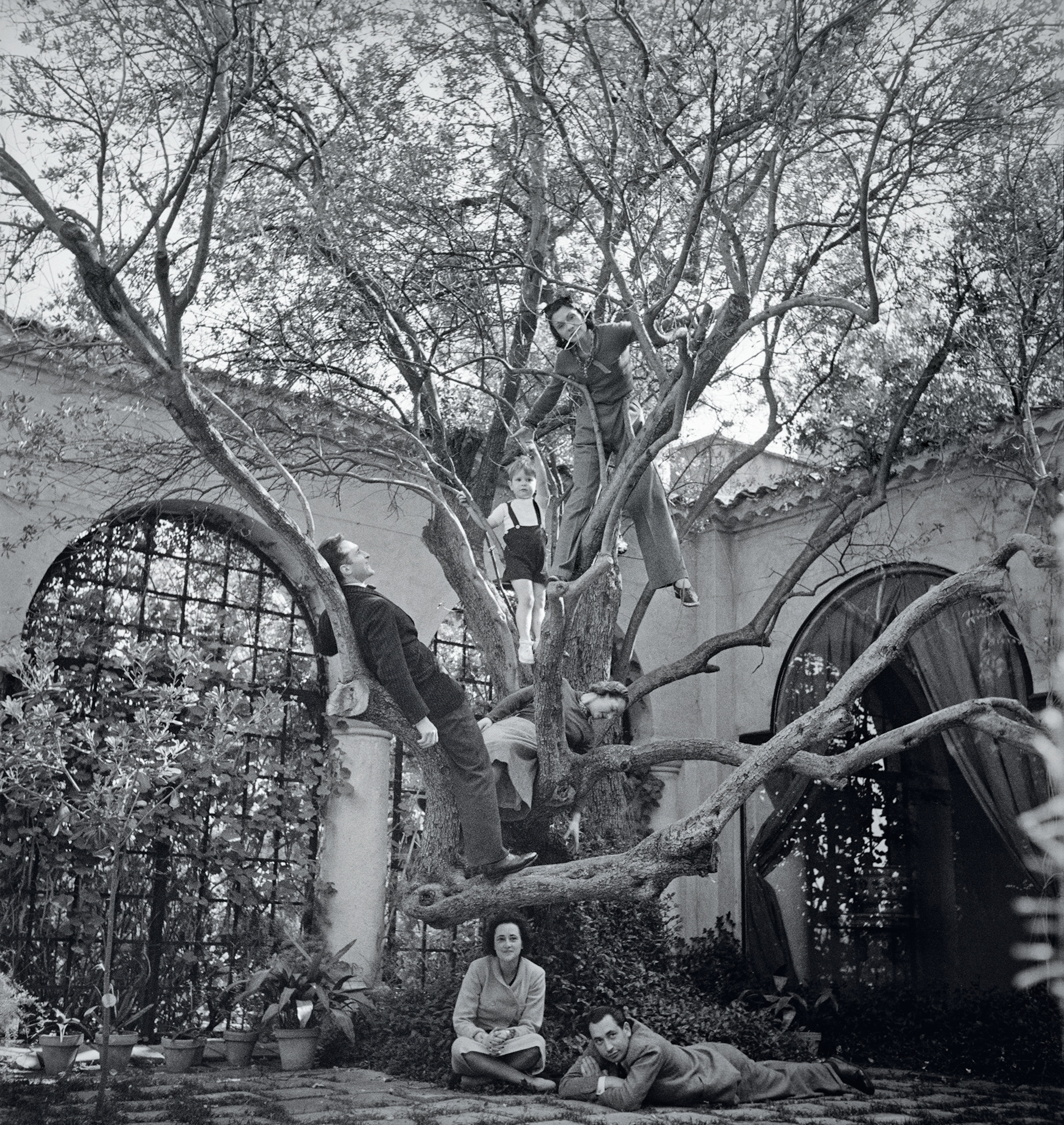 Chanel climbs the great olive tree in the courtyard of La Pausa.
