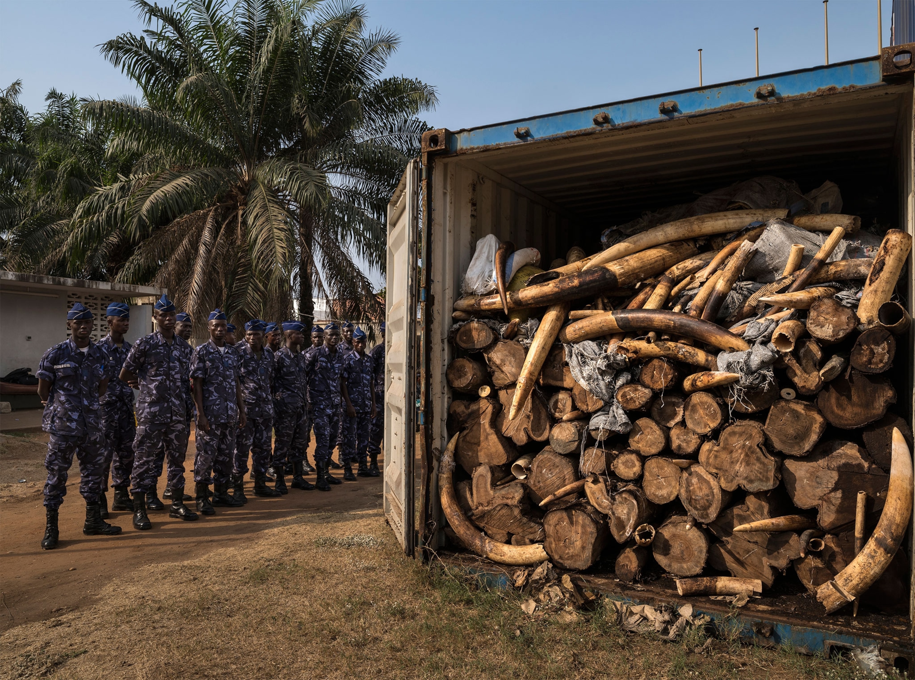 customs officials posing with illegal ivory