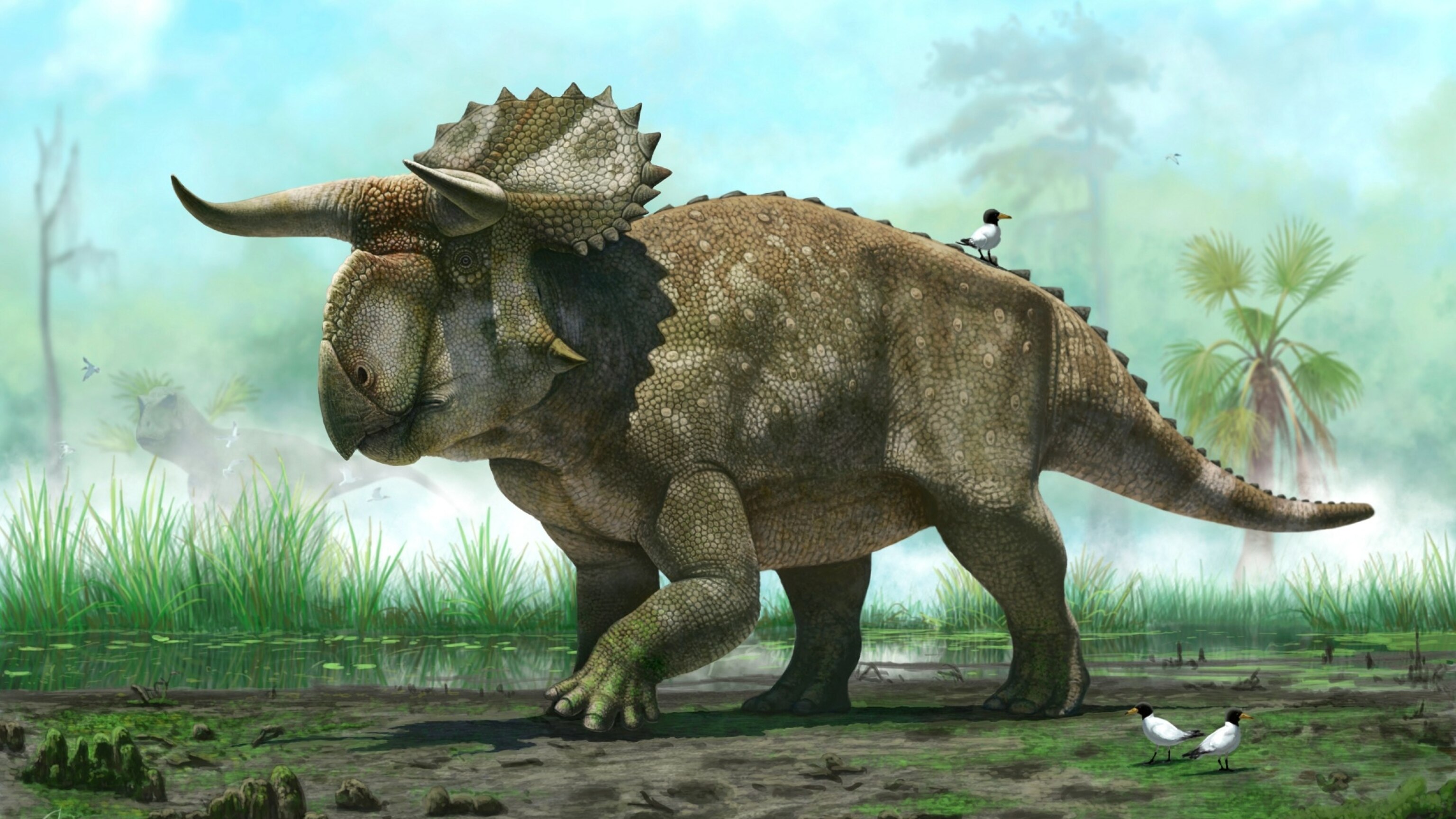 Large-Nosed Horned Face” Nasutoceratops Debuts | National Geographic