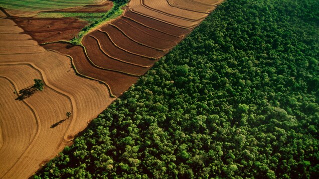 To Curb Climate Change We Have To Suck Carbon From The Sky But How