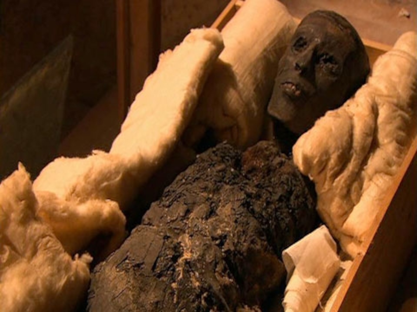 King Tut's Mysterious Death Examined