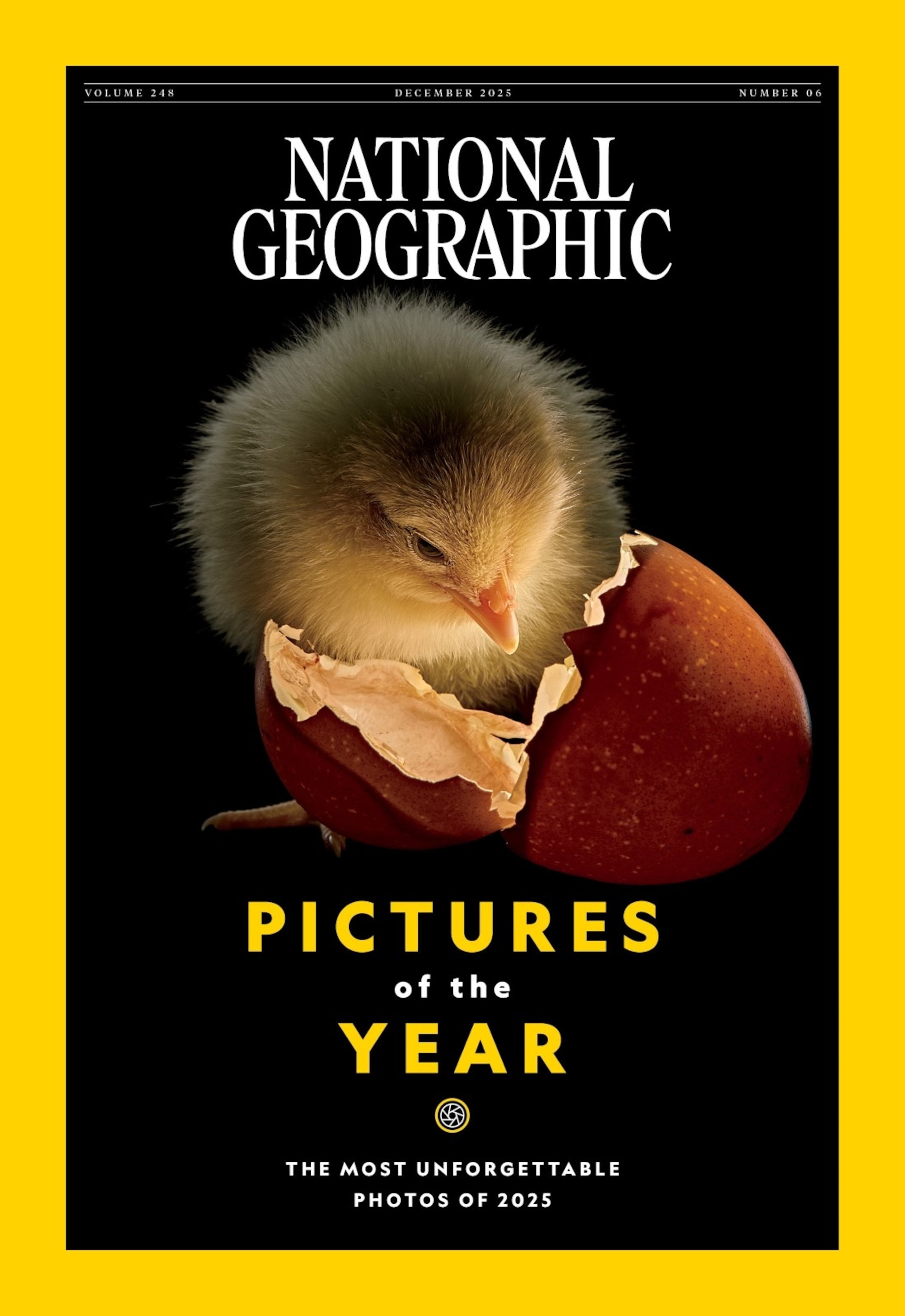 December 2025 Issue