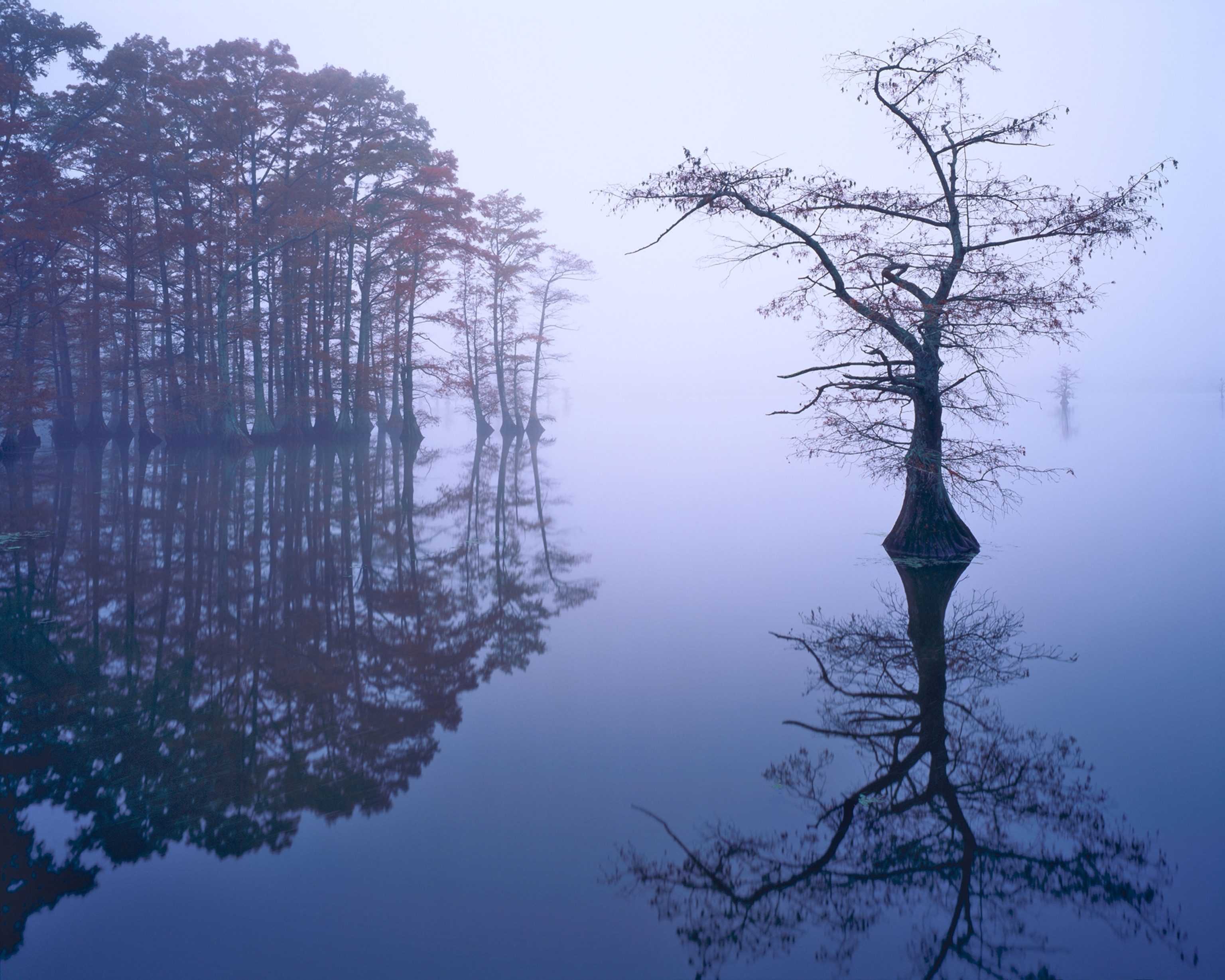 Reelfoot Lake National Wildlife Refuge in Tennessee