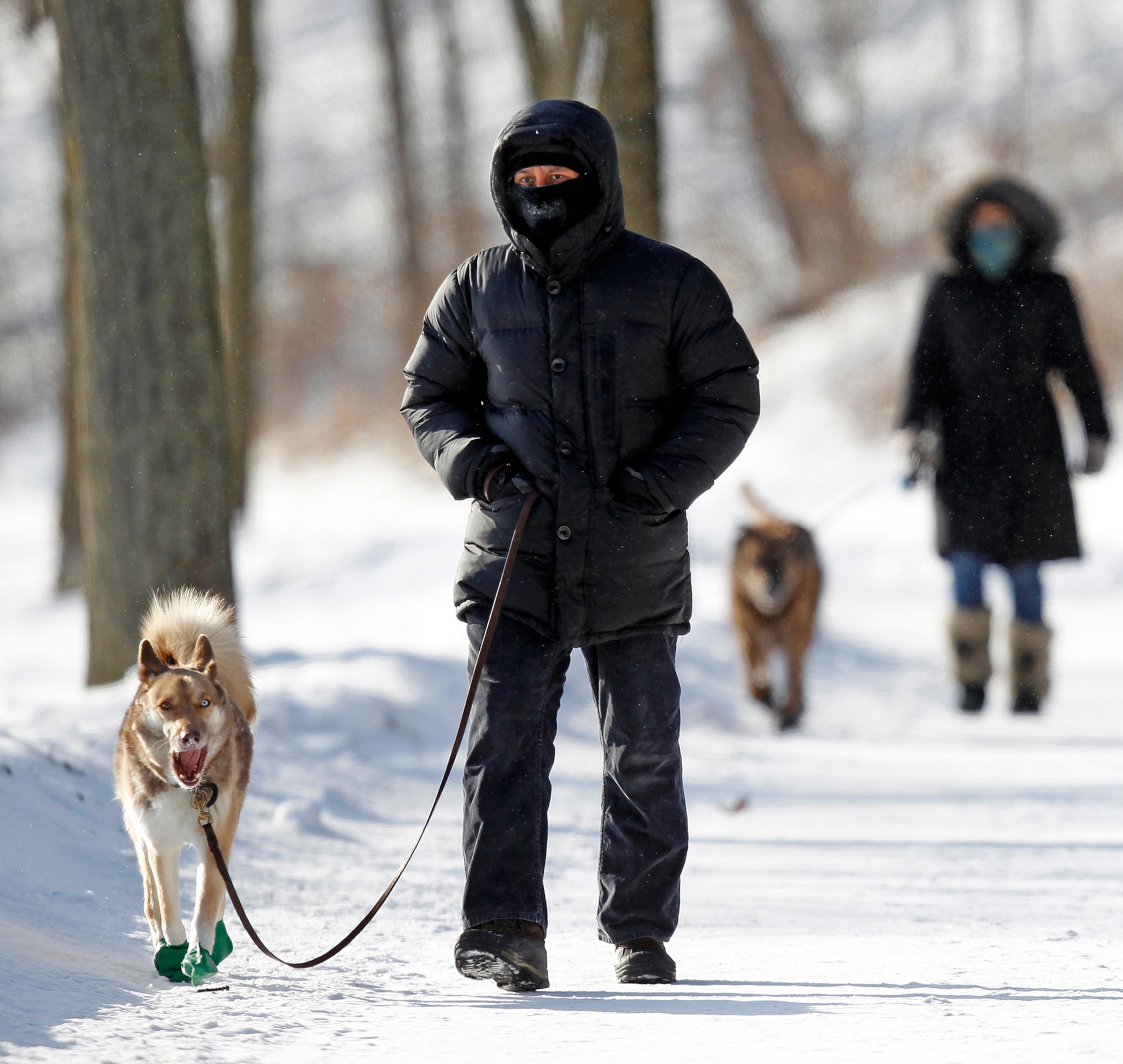 a man walking his dog in Minneapolis.