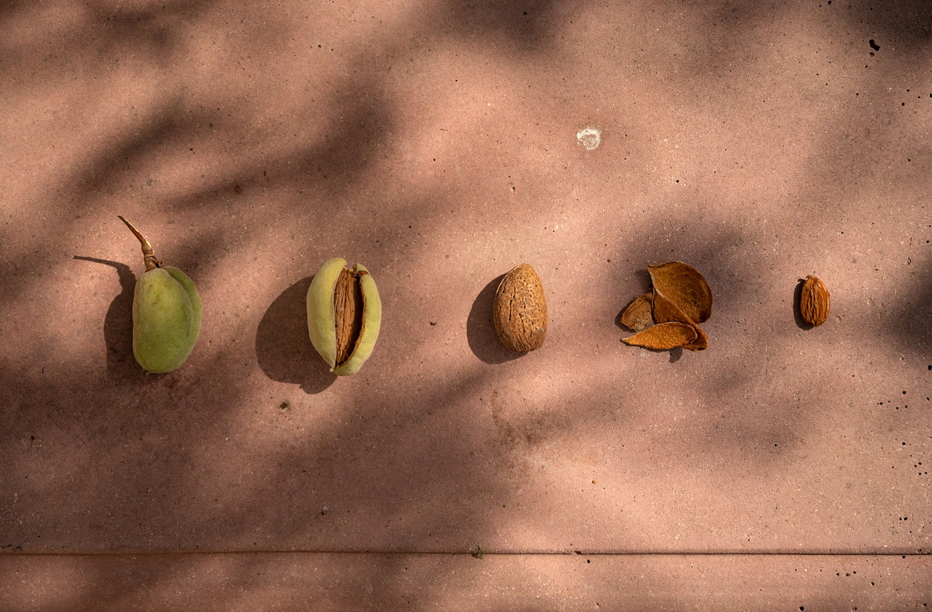 Discover Avola, the Italian town that feeds the world's almond craze |  National Geographic
