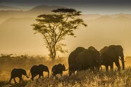 Best Photography Wildlife Nature Best Photography Wildlife Nature