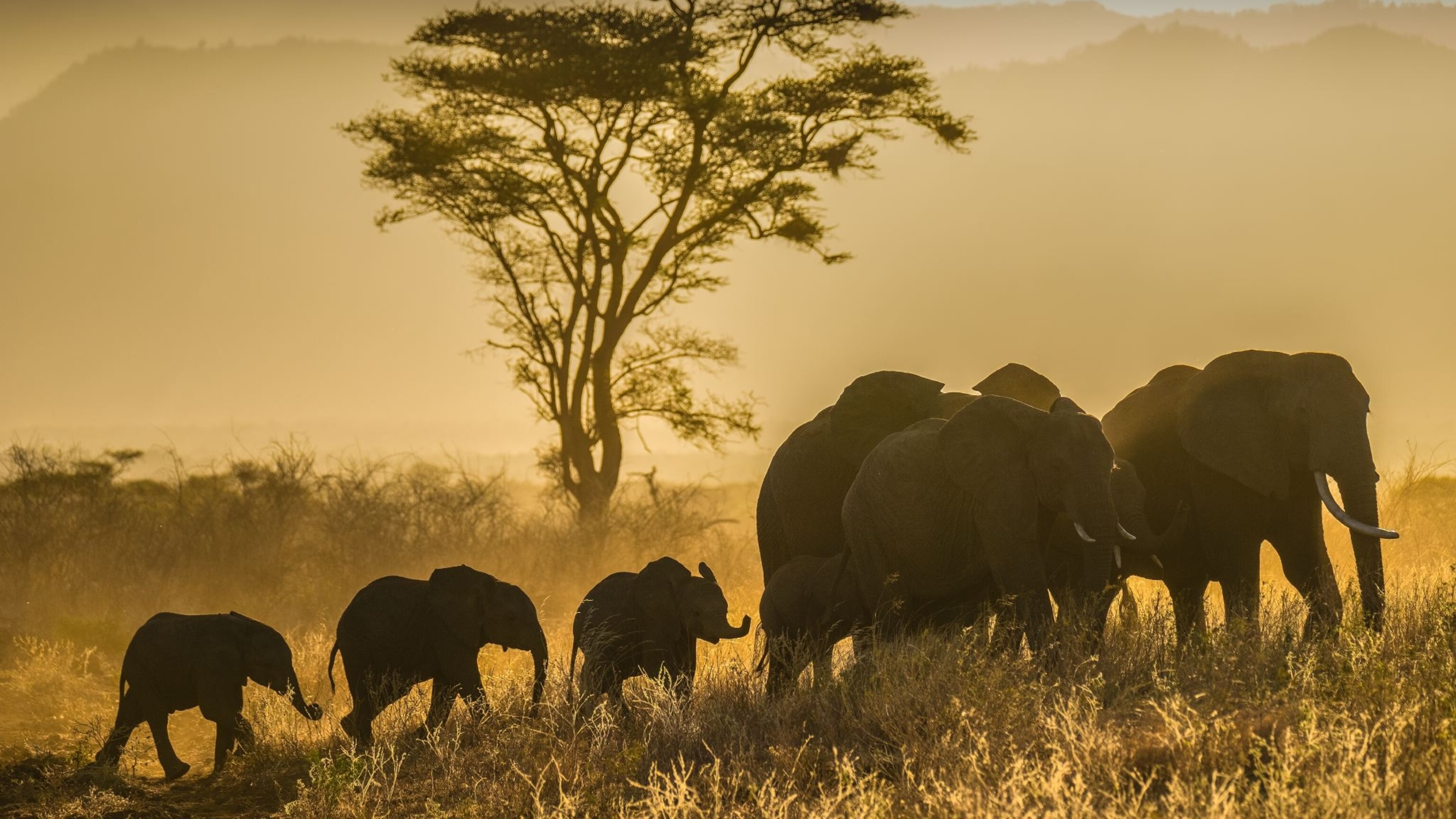 prod-yourshot-1791825--2-_16x9