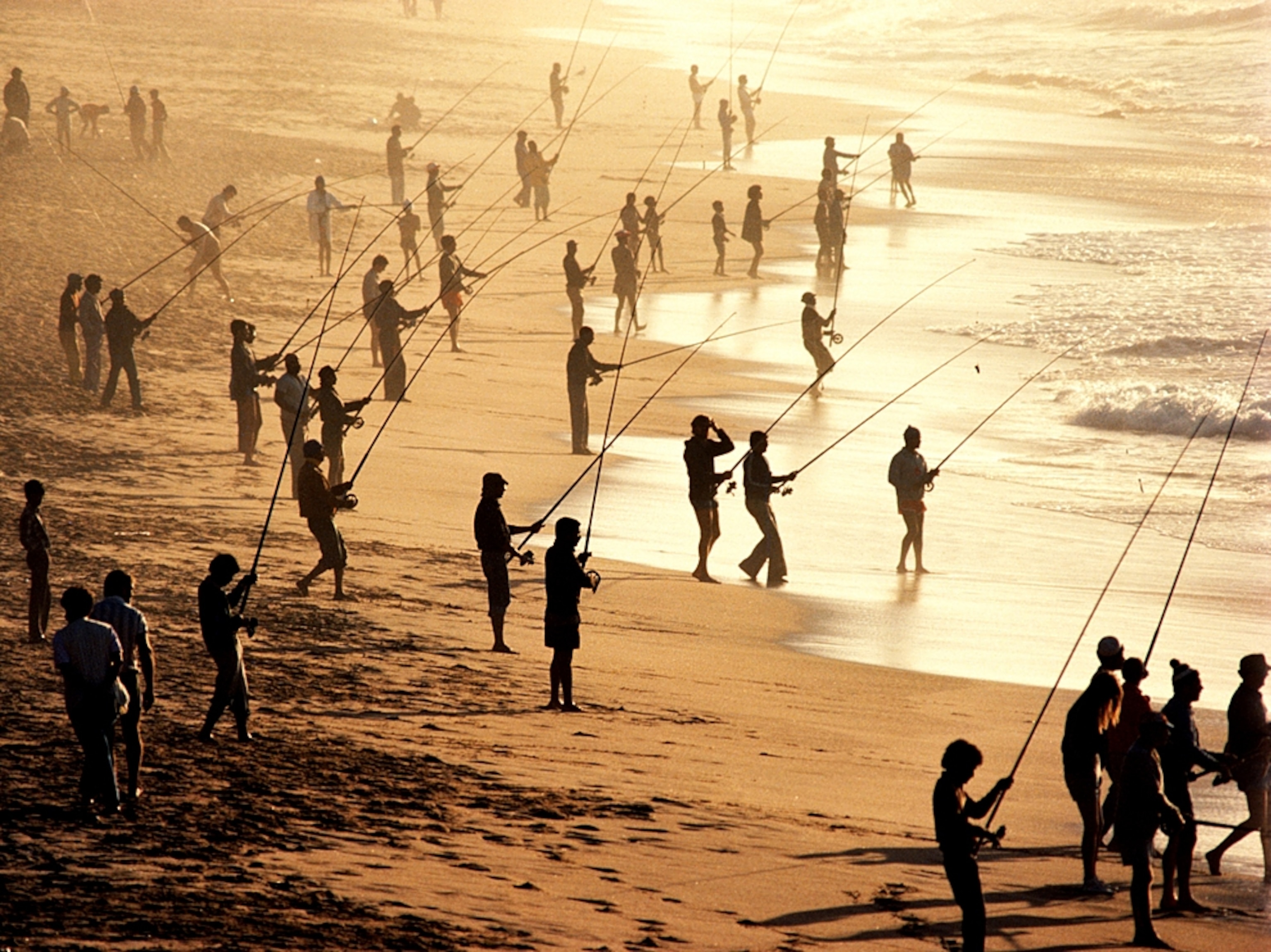 People fishing on a beach near Durban
