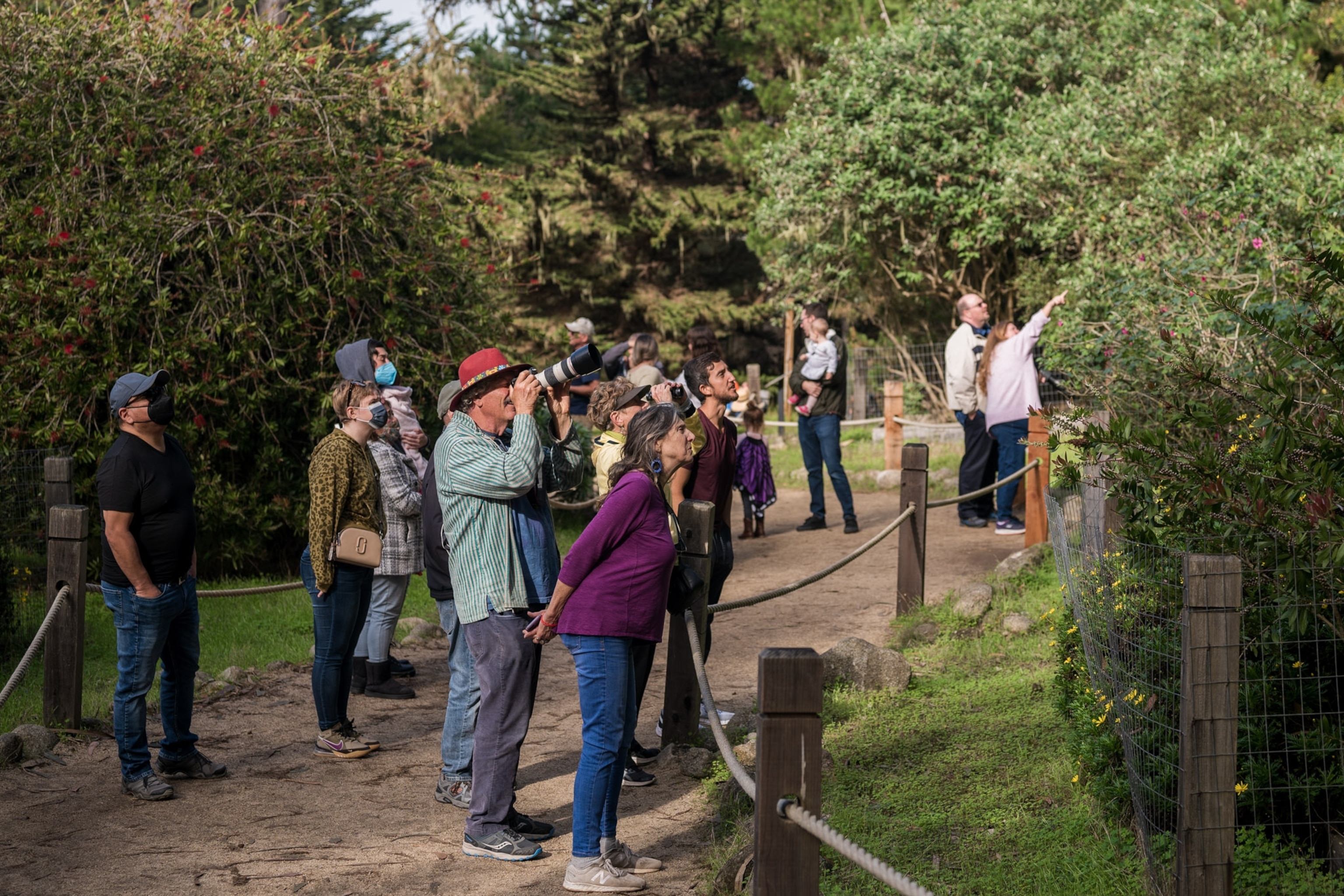 People photograph butterflies at Monarch Grove Sanctuary.