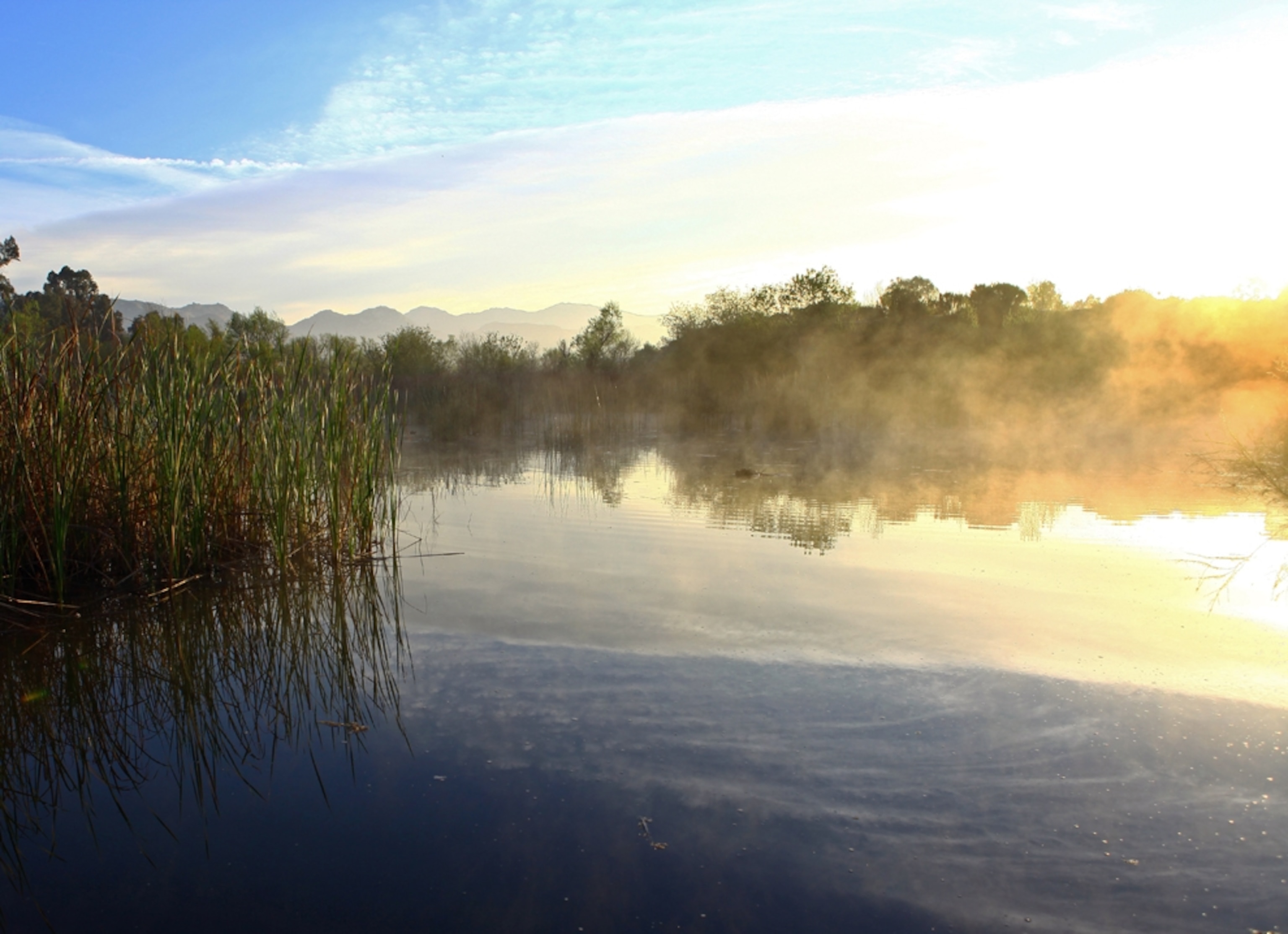 The San Diego River is chopped up into many different segments, mostly privately owned, or owned by the city or county. The Lakeside River Park was bought with funds, partially raised by the San Diego River Conservancy, from a sand mining company and restored to a more natural state.