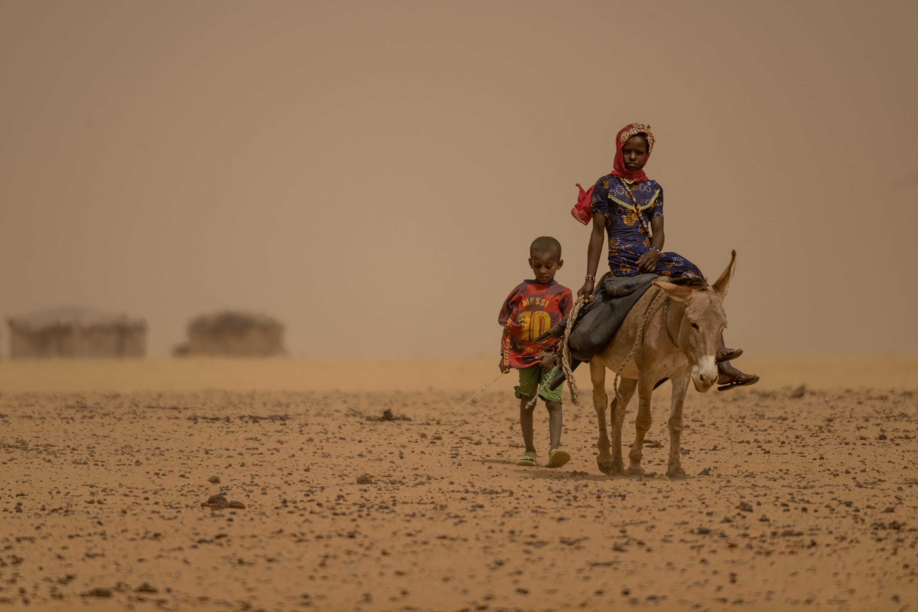 How the global donkey skin trade risks spreading deadly diseases