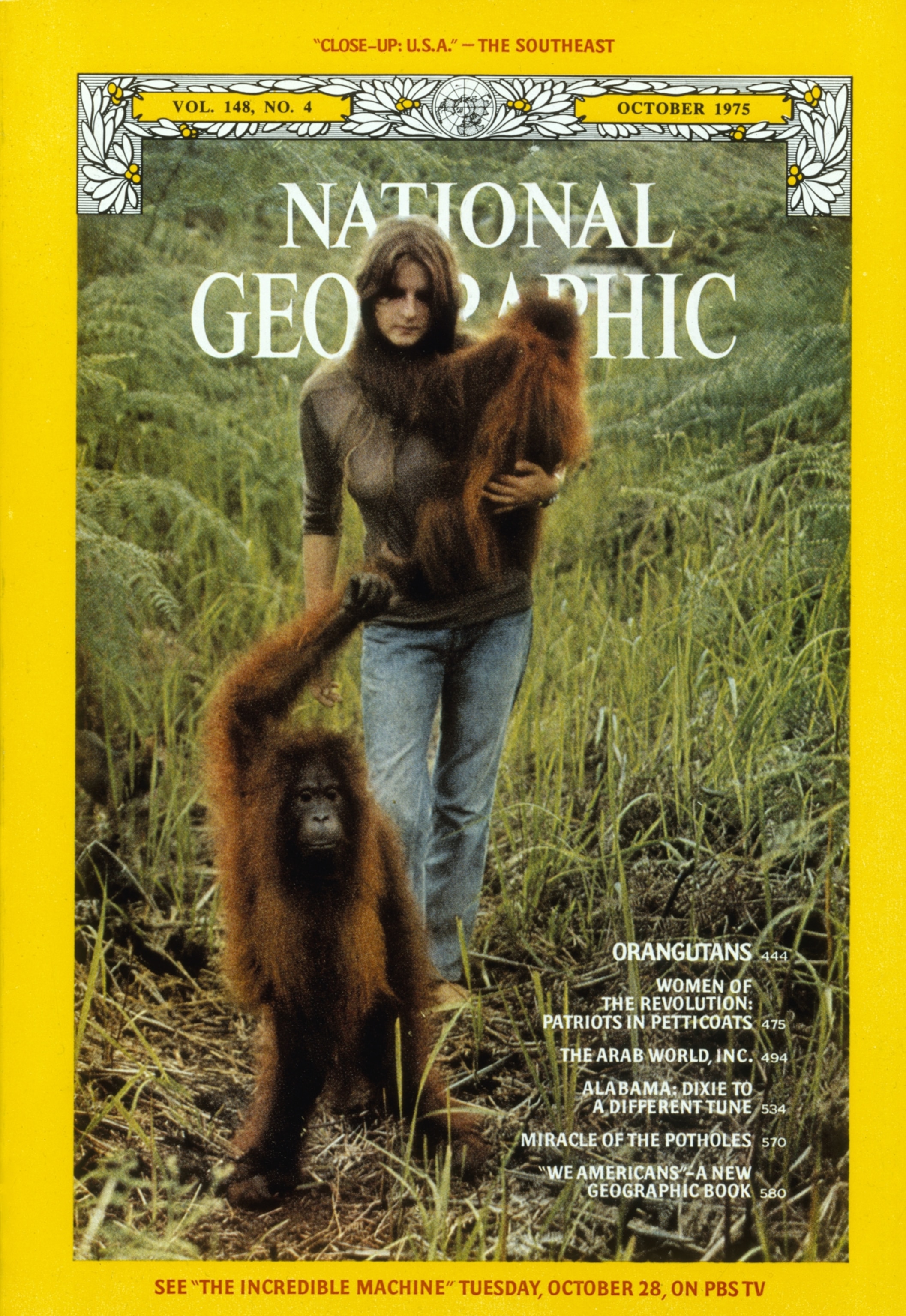 A woman holds an orangutan in front of lush greenery on a 1975 National Geographic cover.