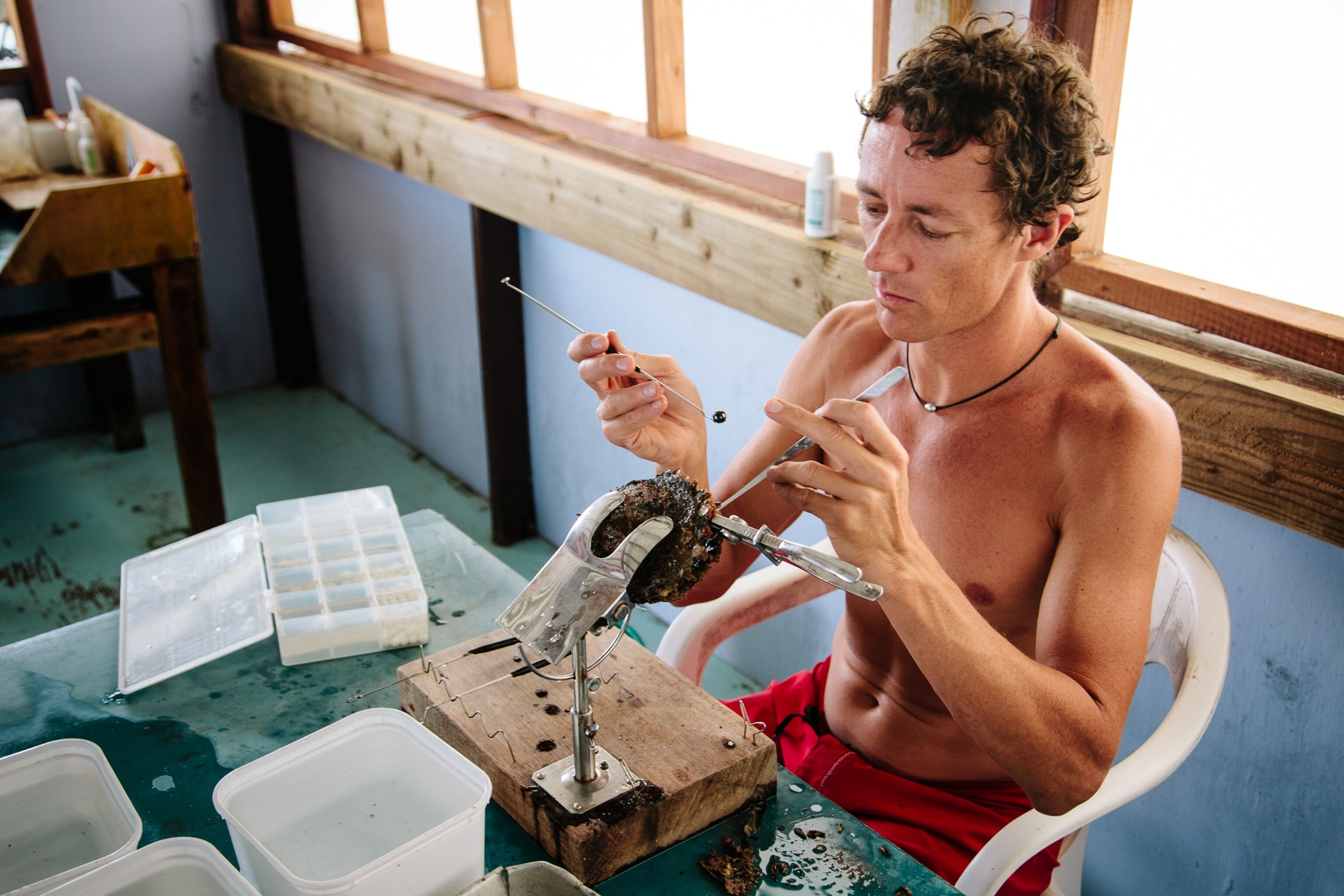 Pearl Farming - Picture of Josh Humbert grafting oysters