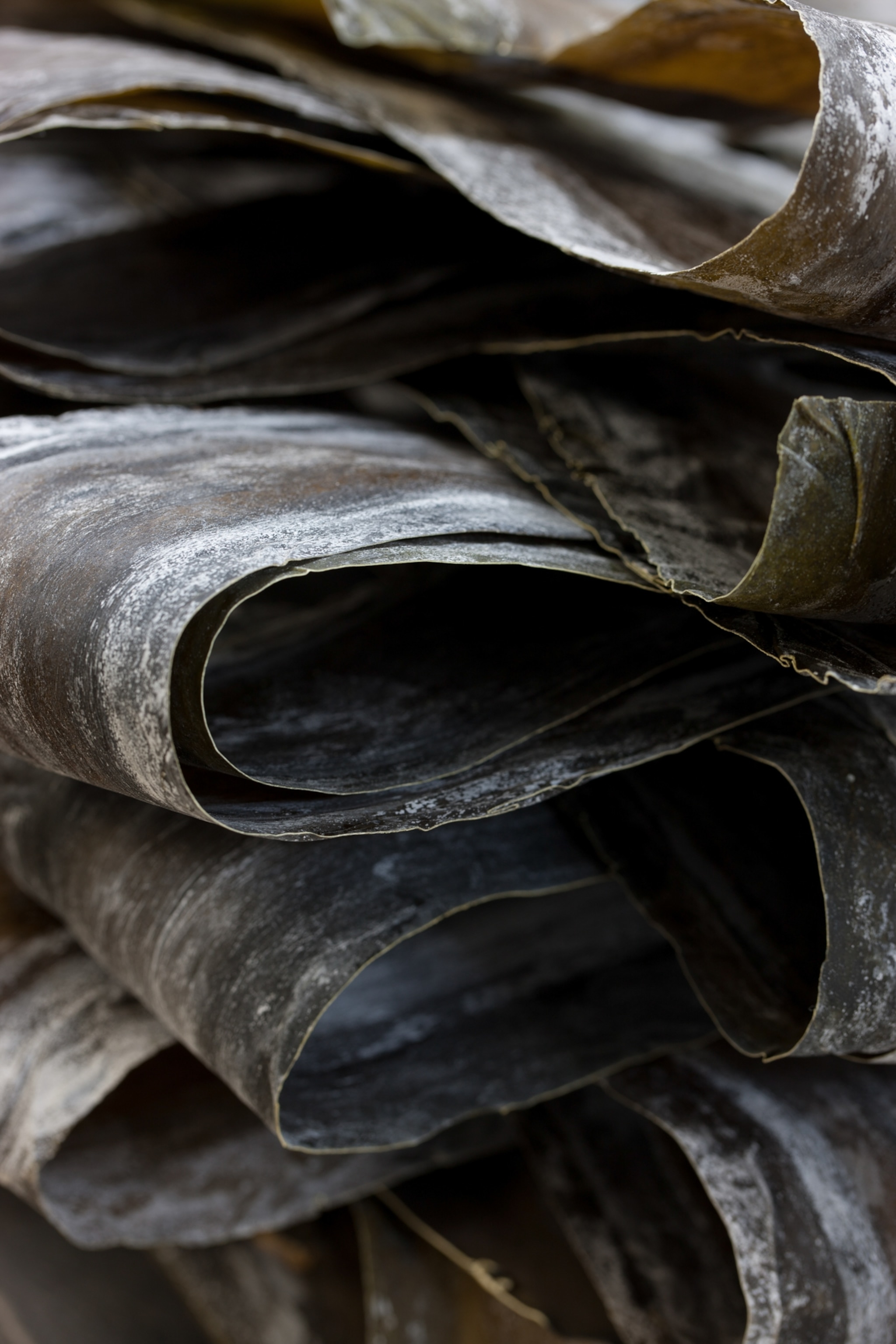 Stacks of loosely folded kelp