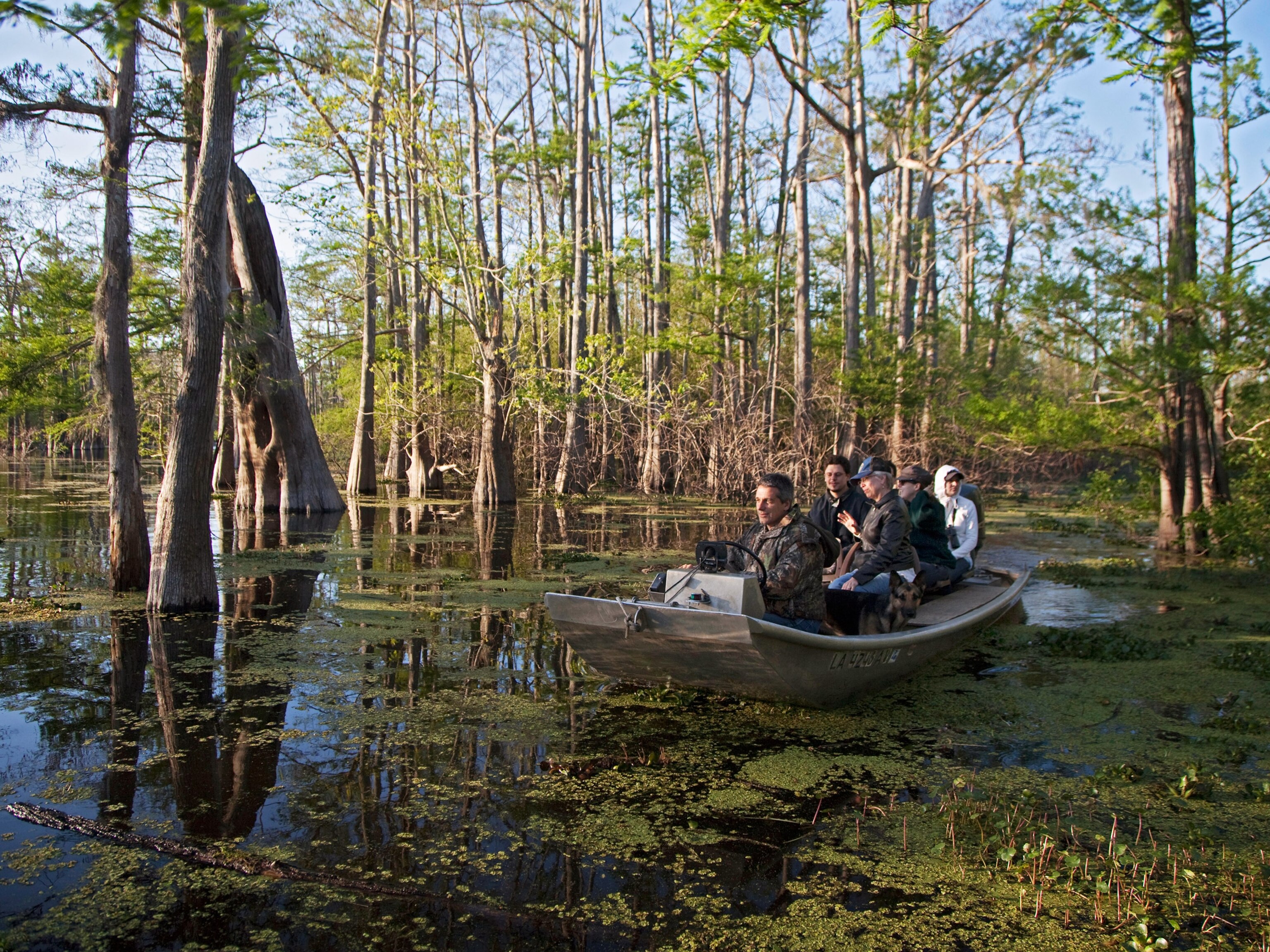 10 Outdoor Adventures to Do in Louisiana Now
