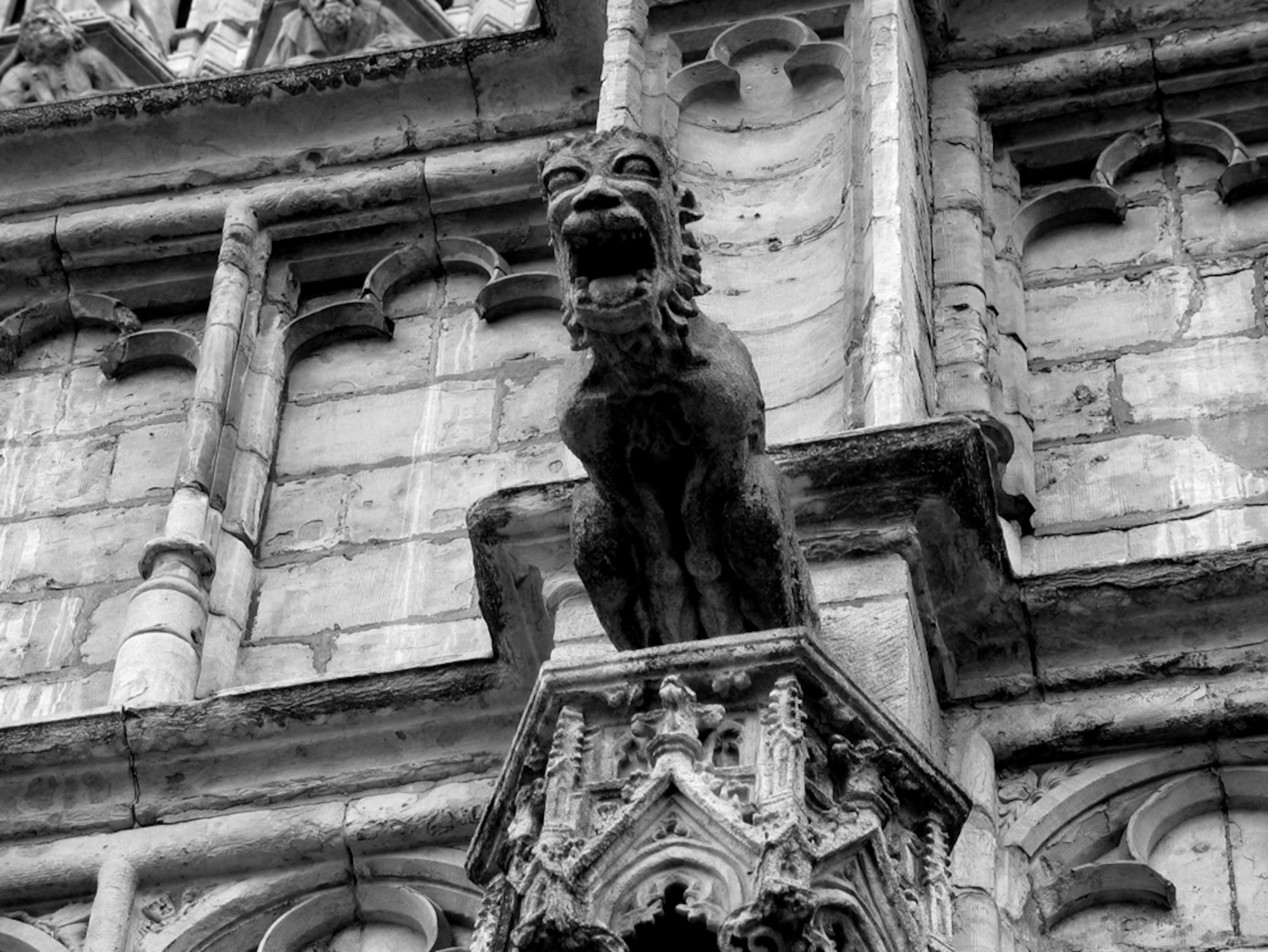 Gargoyle in Brussels, Belgium