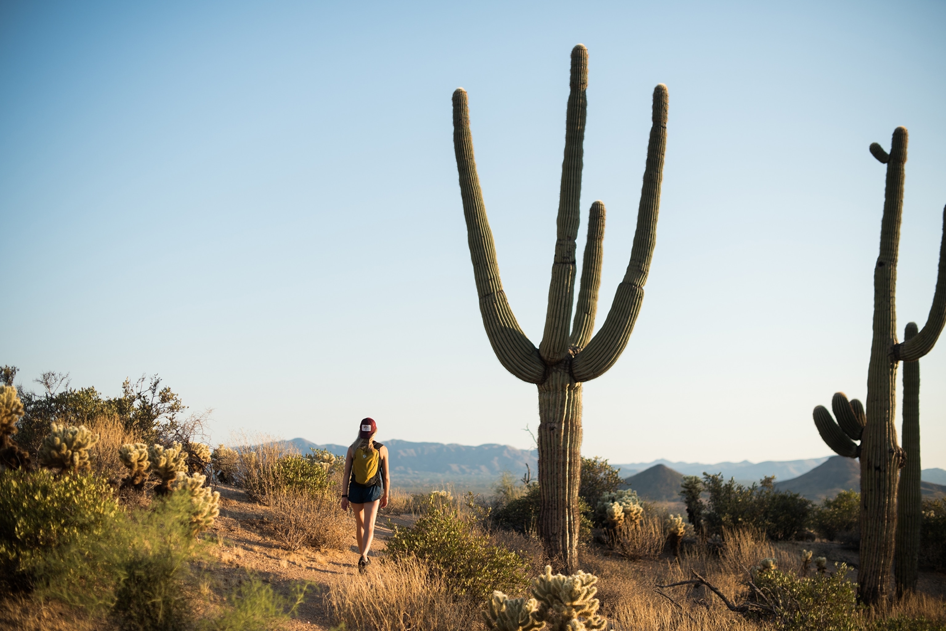 a hiker at Pinnacle Peak Park in Scottsdale, Arizona