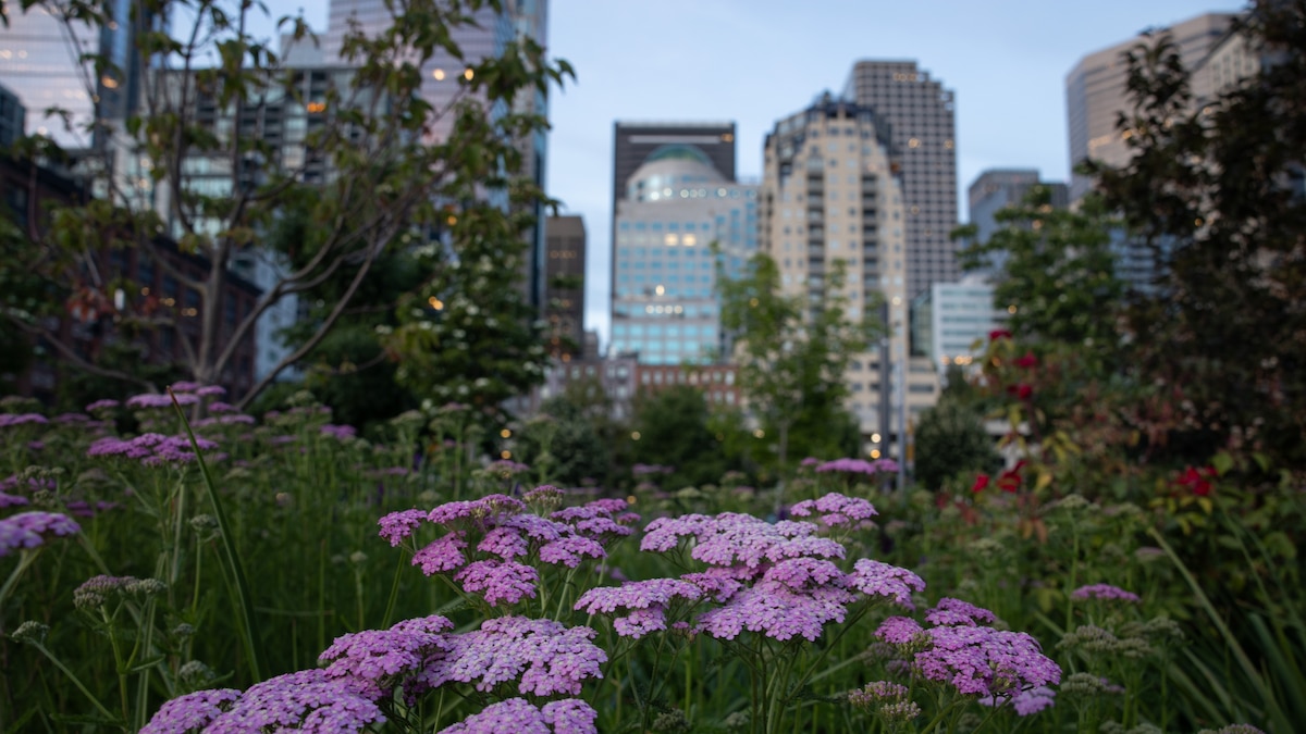 Take the Scenic Route in Seattle