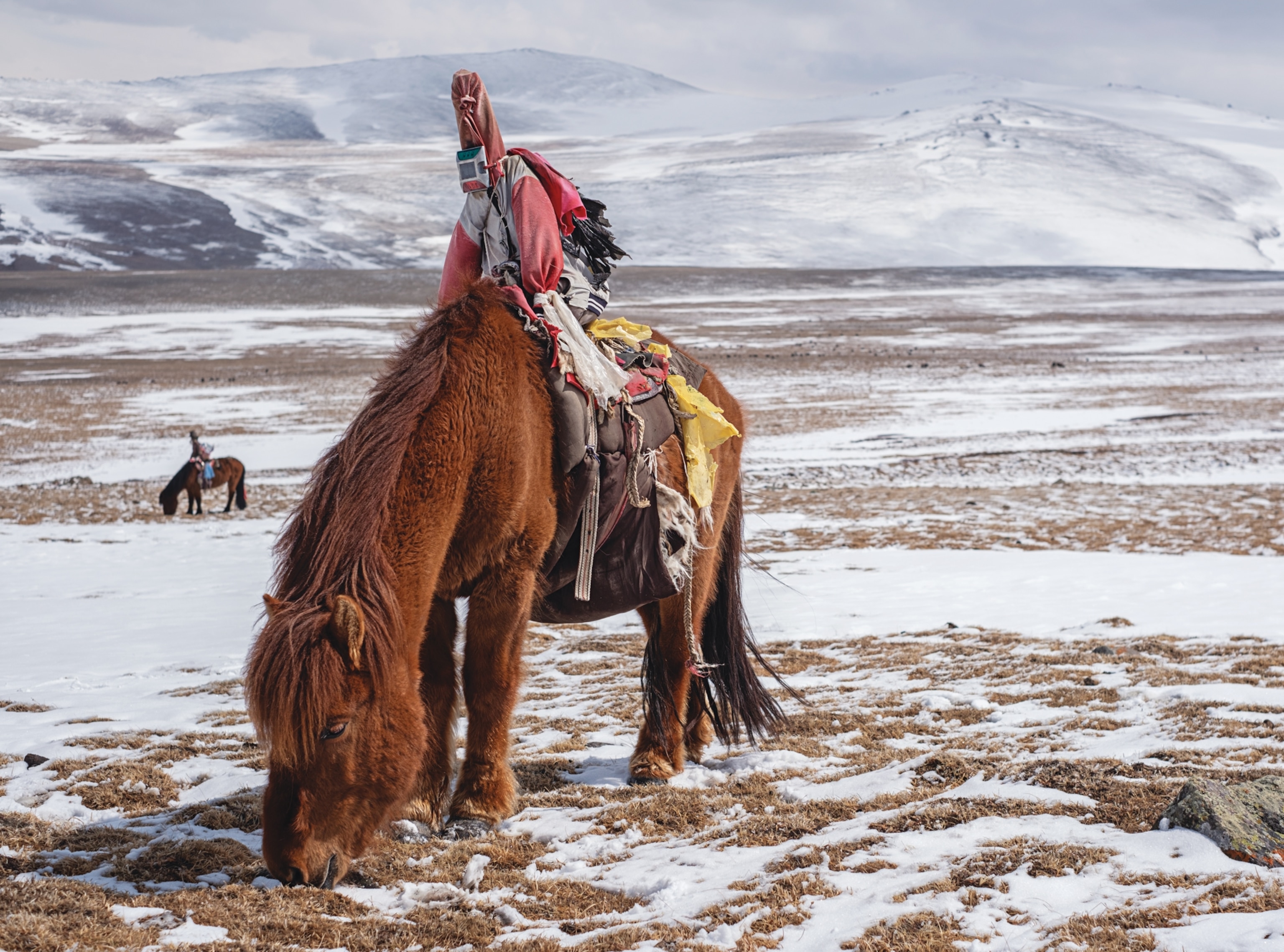A “scare-wolf”, similar to a scarecrow, pretending to be a person, affixed to the back of a horse.