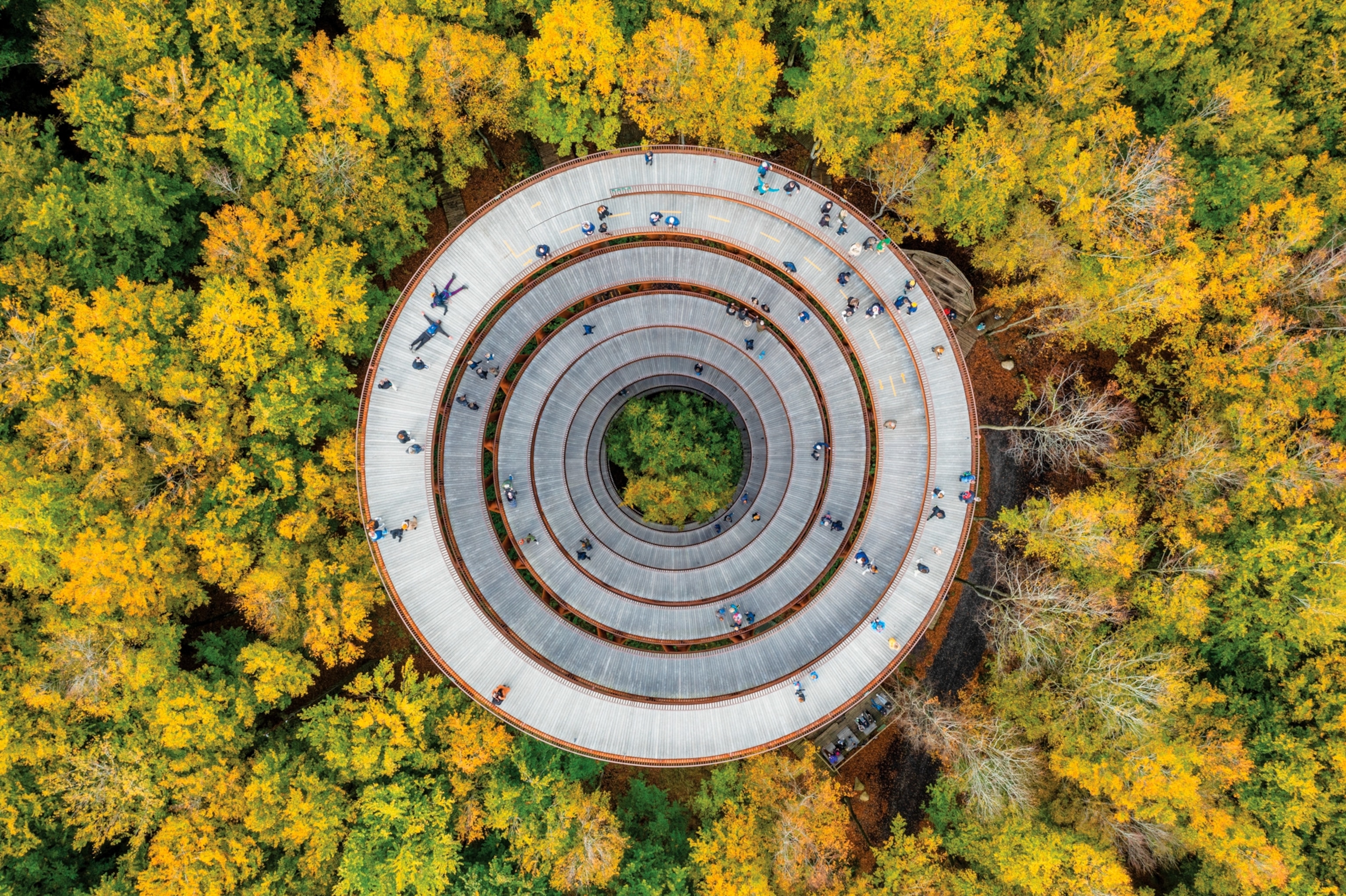 Overhead view of a circular tower in a forest with people walking on it.