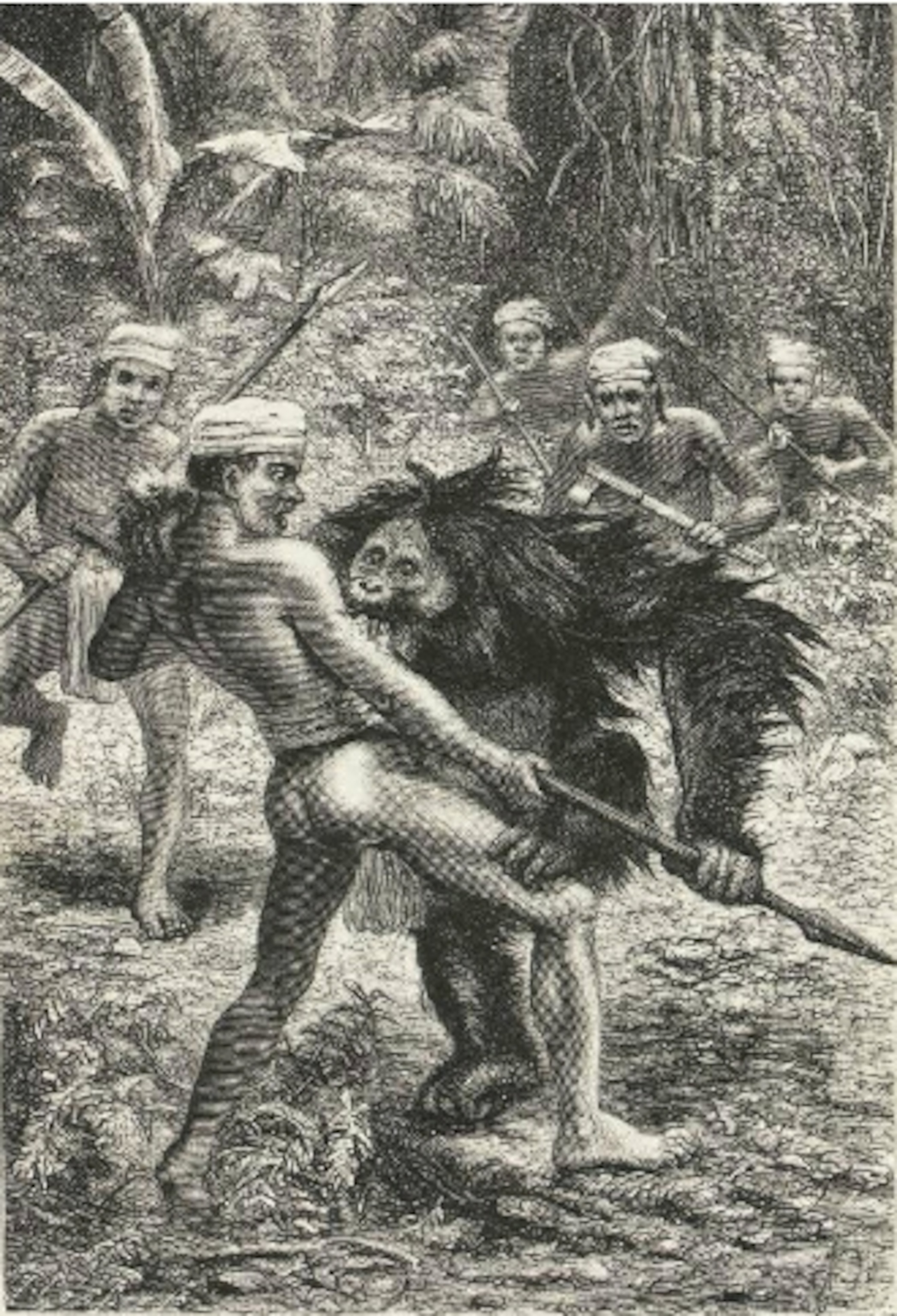 140701-malayarchipelago-orangutans