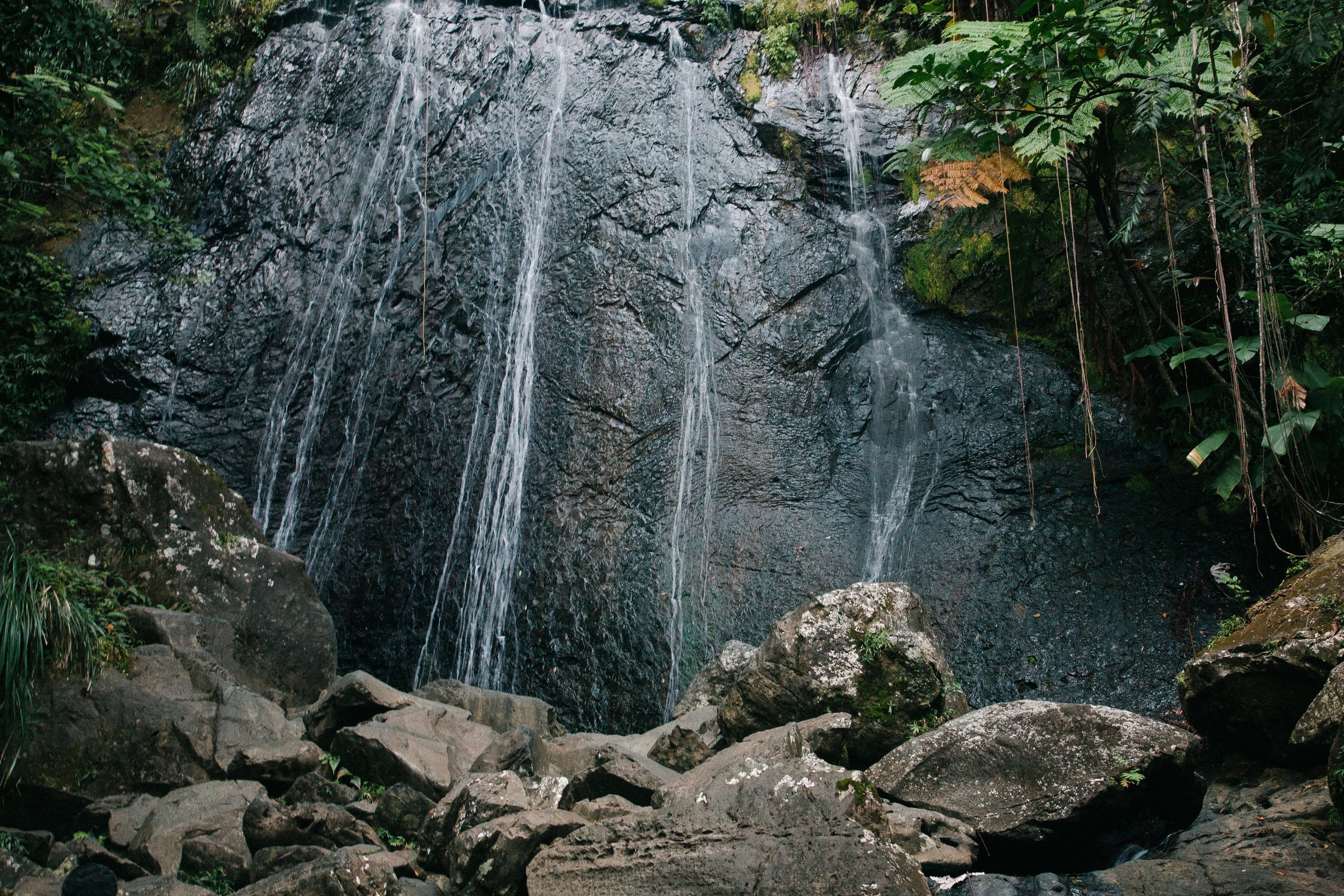 A rocky waterfall in a lush rainforest