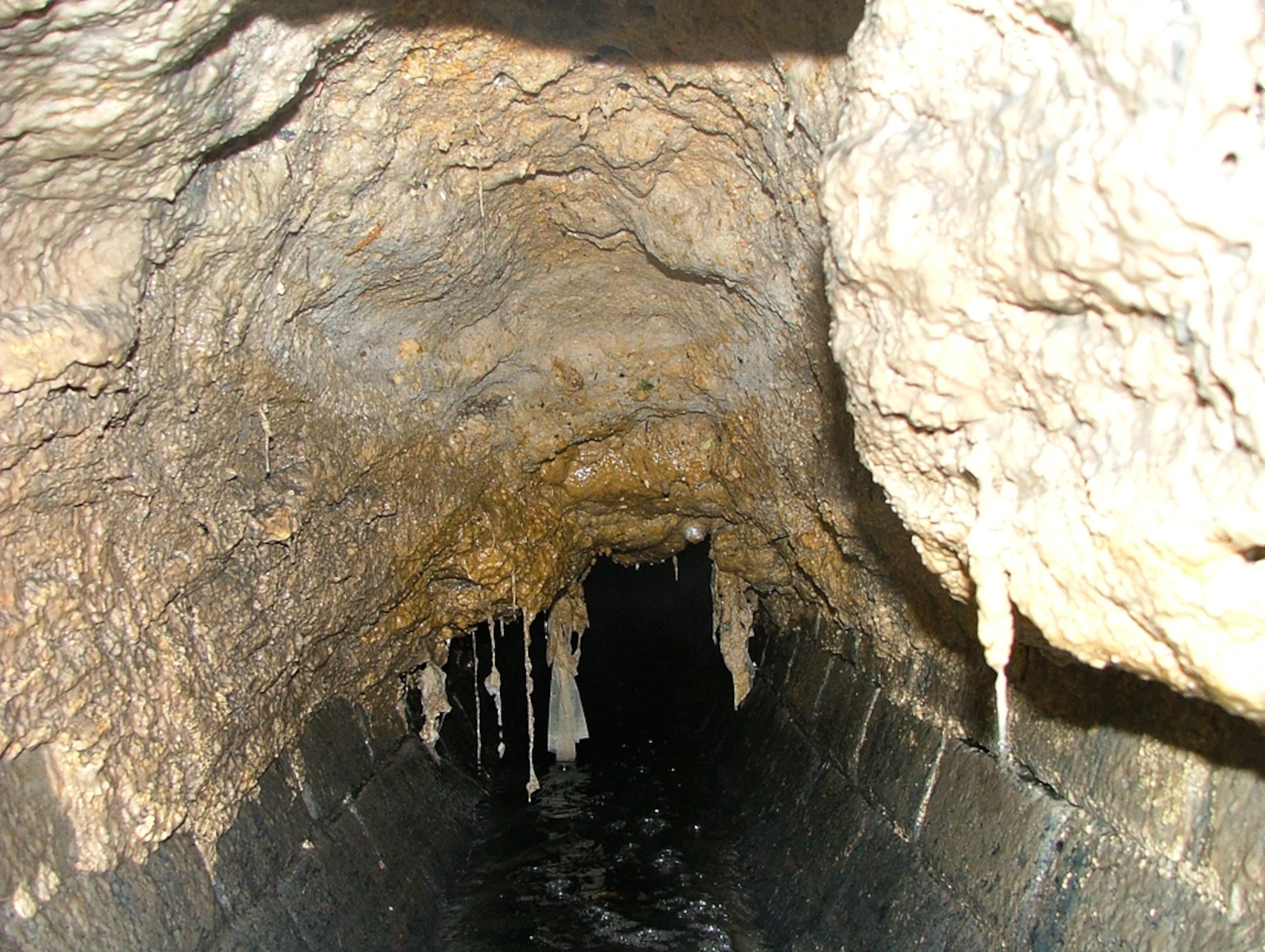 Picture of a sewer thick with fat in Reading, U.K.