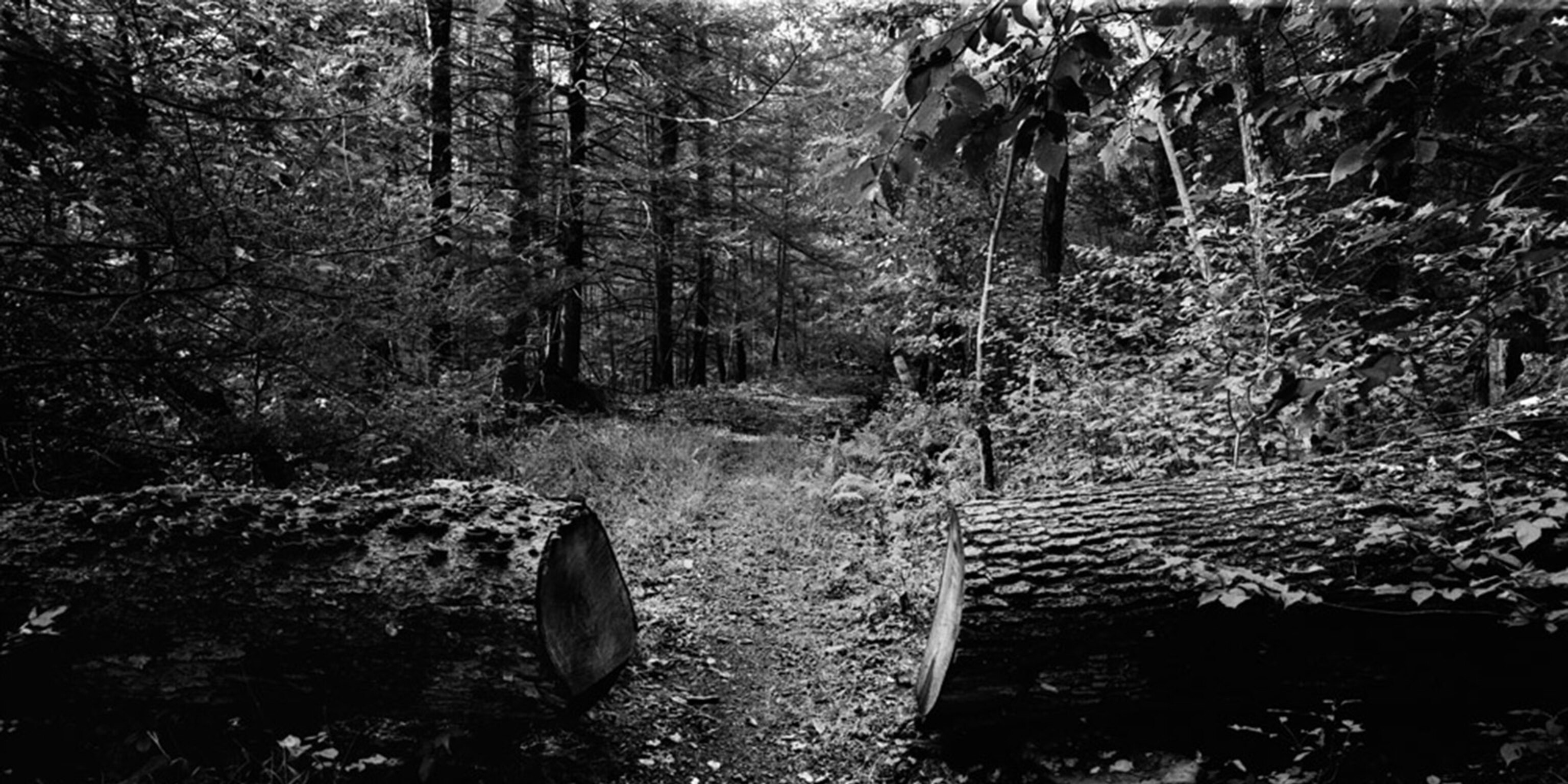 Hate Crimes Happened pic