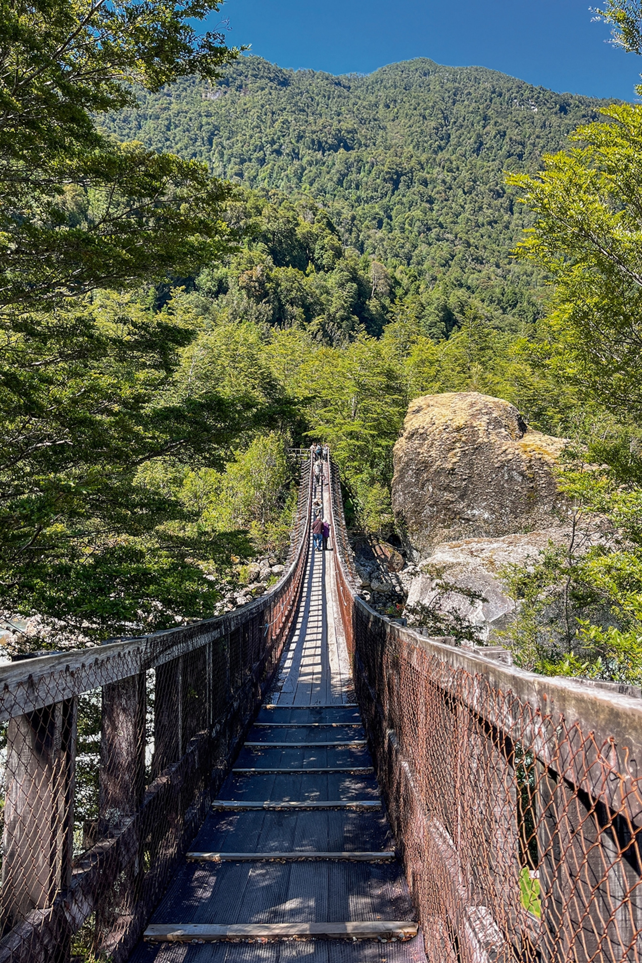 A hiking trail leading over a gorge with a forest around the path.