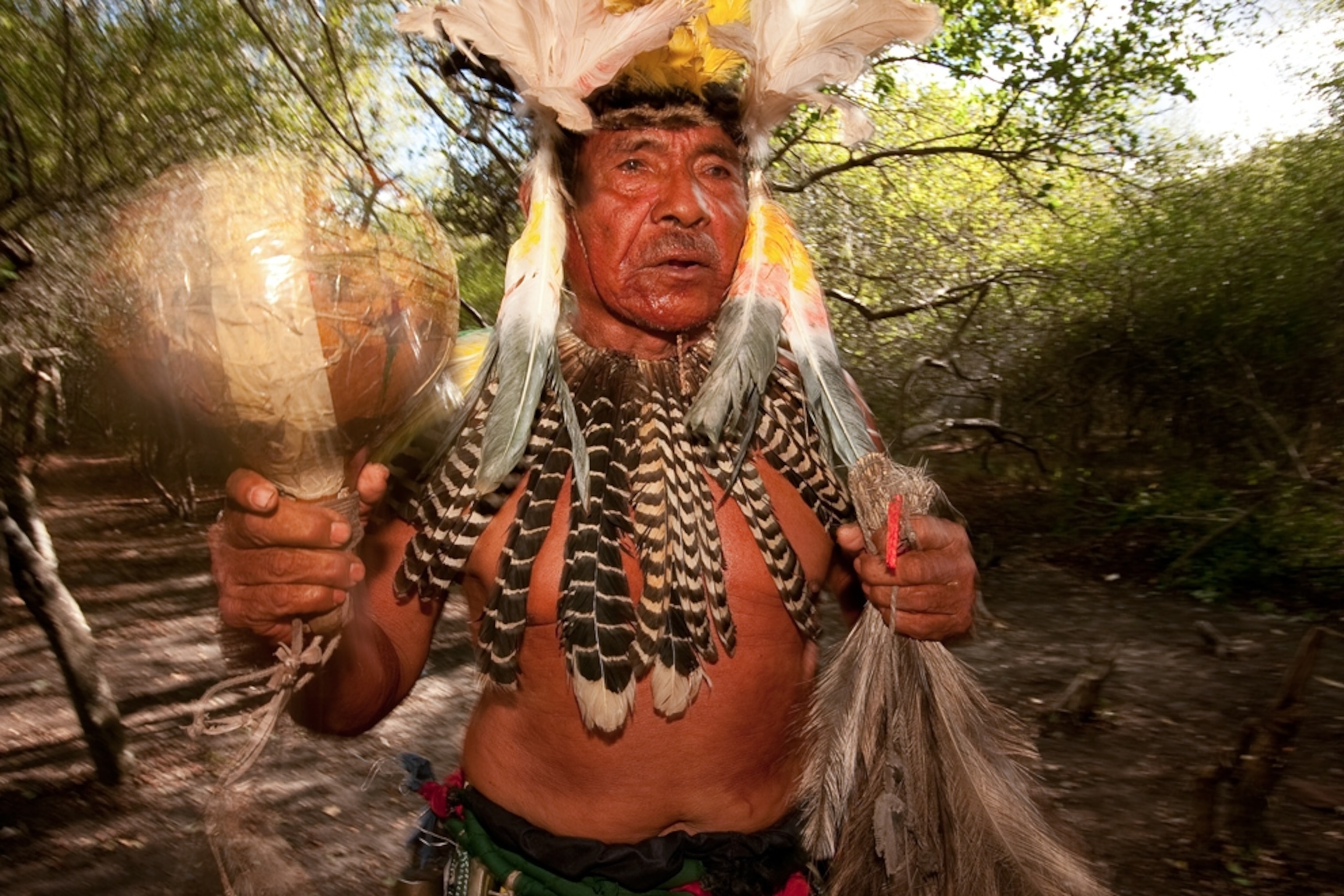 Shaman picture: speaker of dying language Chamacoco in Paraguay