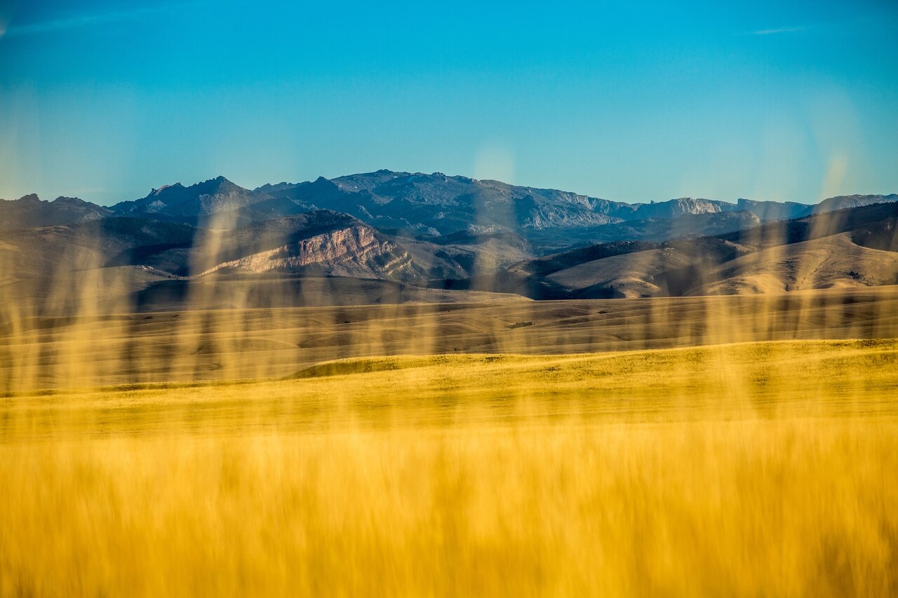 How the return of bison connects travelers with Native cultures