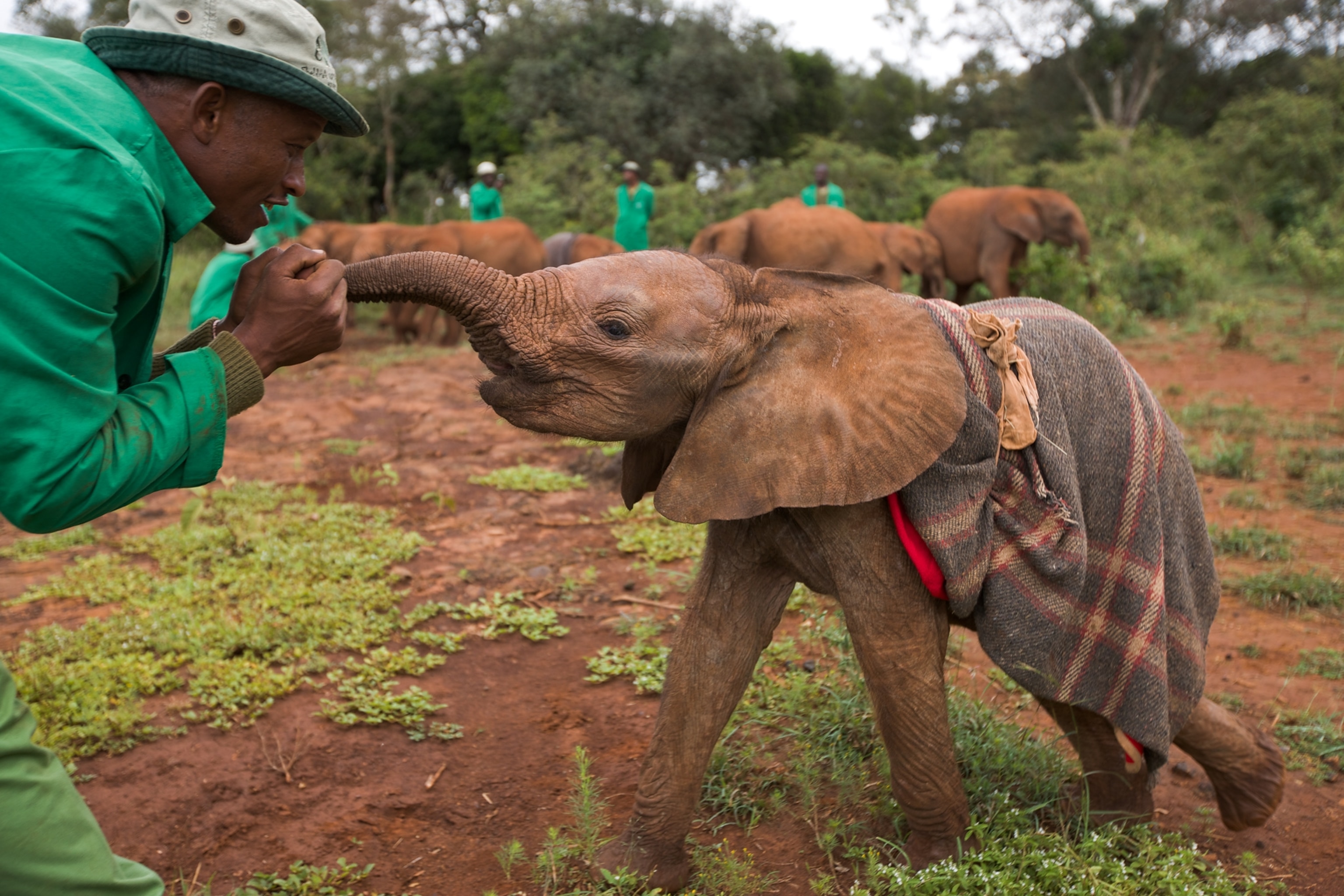 Nellie Shute with her homemade gift cards.