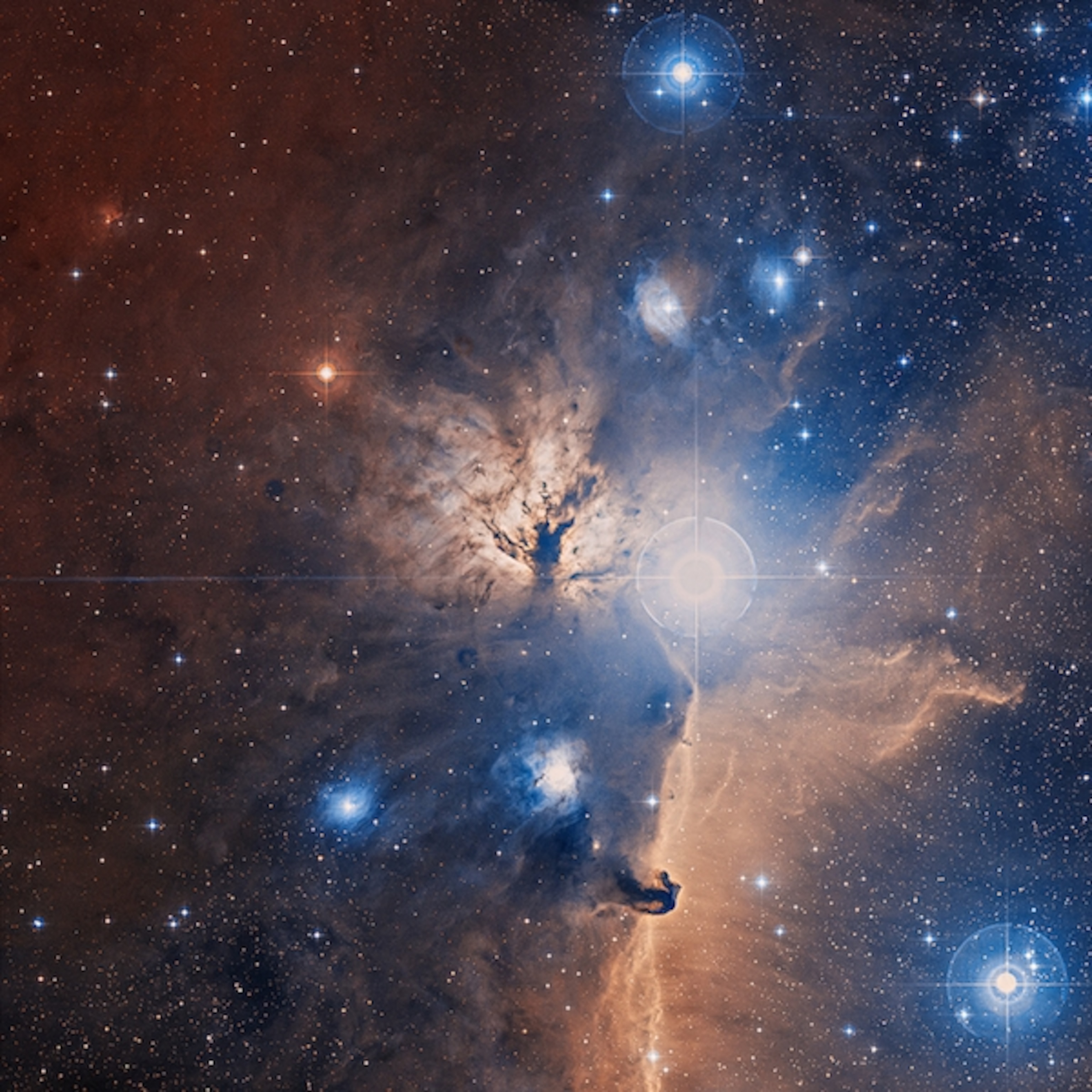 Flame Nebula in the optical, where dust and gas hide young stars. The Horsehead Nebula is in the lower right. (DSS)