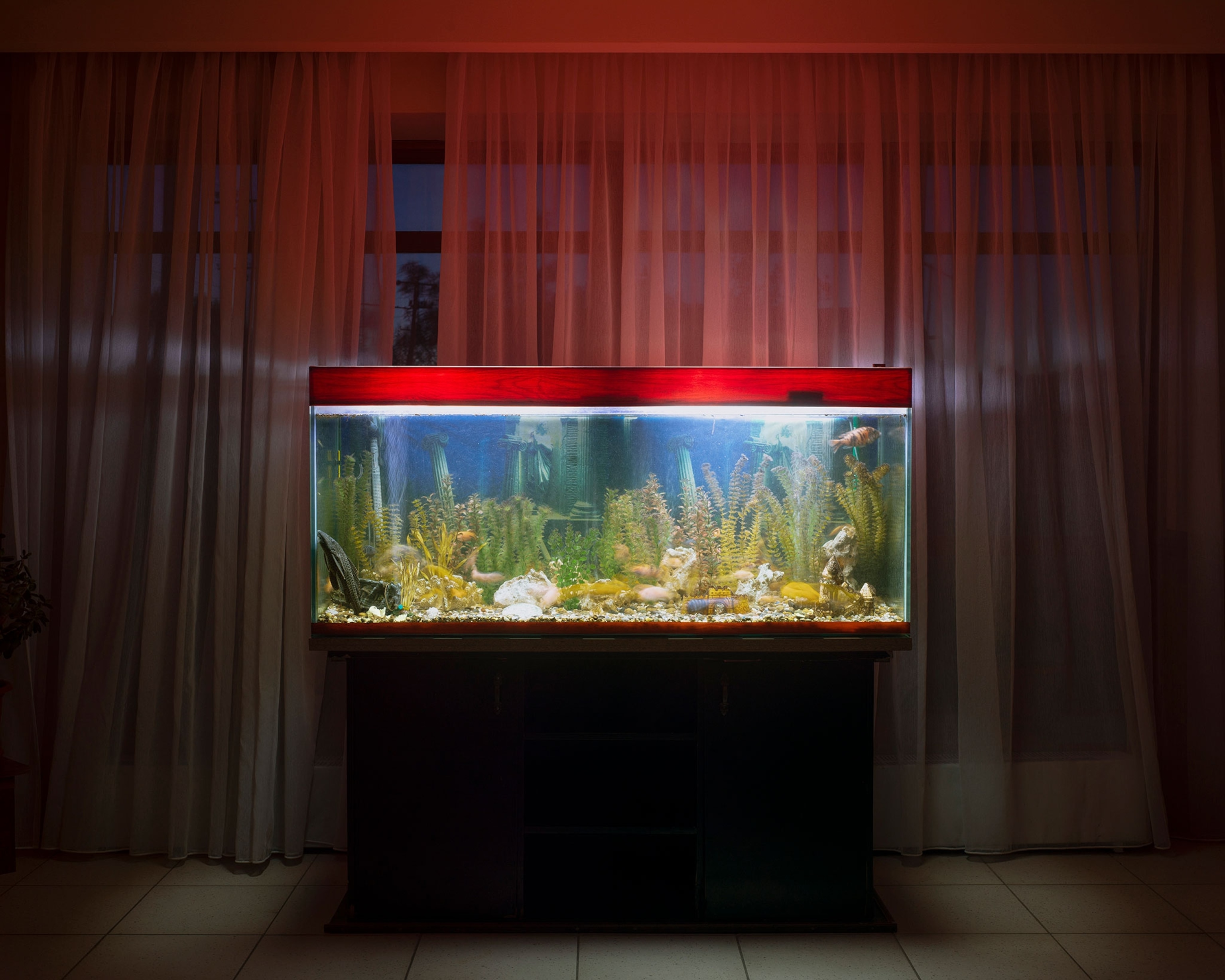 life along the Volga River