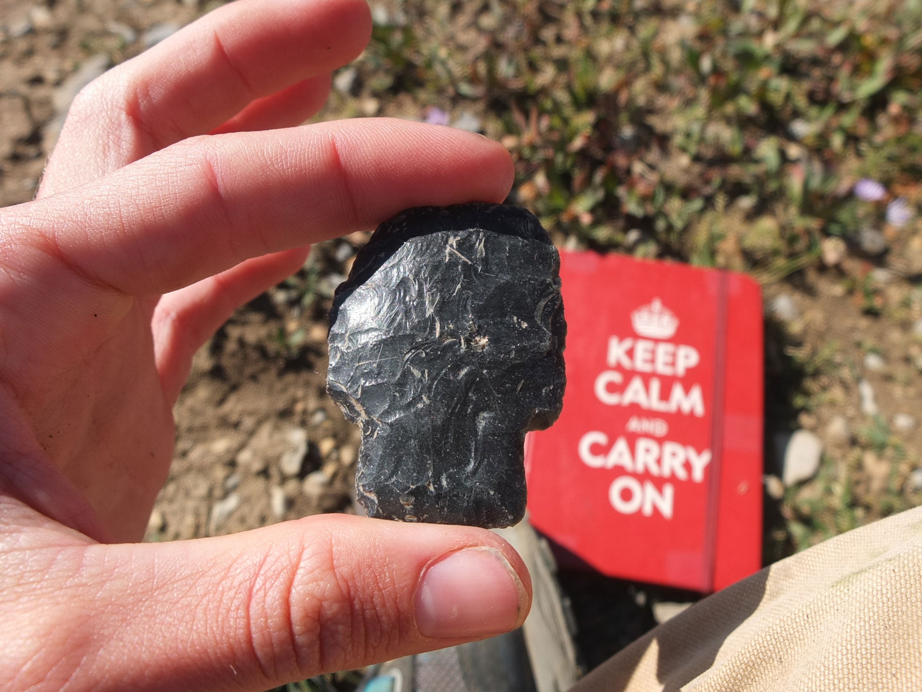 a 9,500 year old Alberta style projectile point