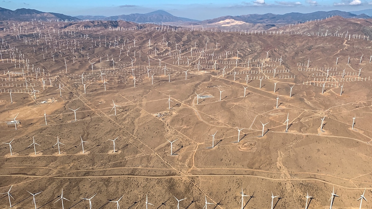 ‘It’s now or never’: UN climate report’s 4 urgent takeaways | National ...