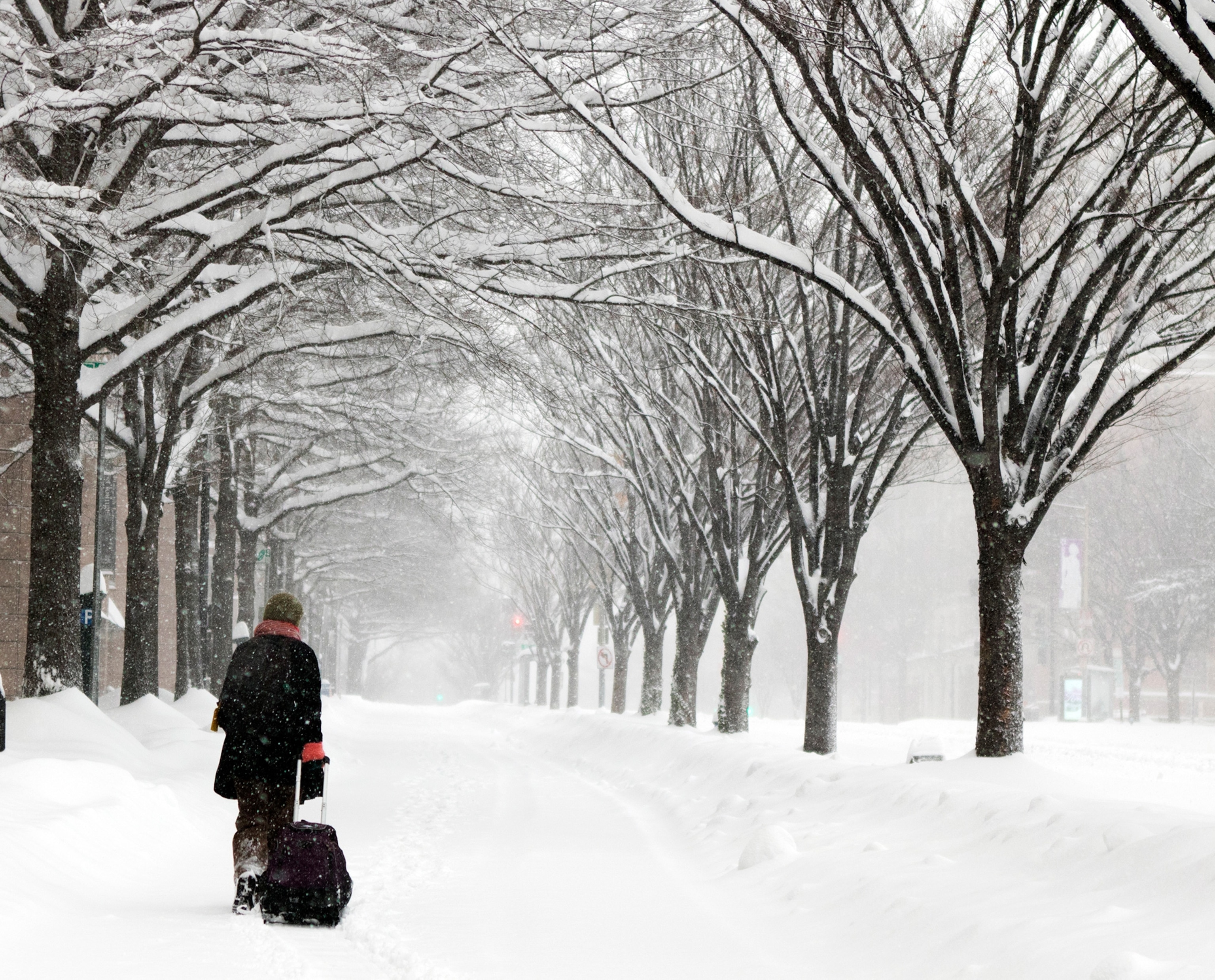 Michelle Navarre Cleary pulls a bag as she walks on K Street in Washington