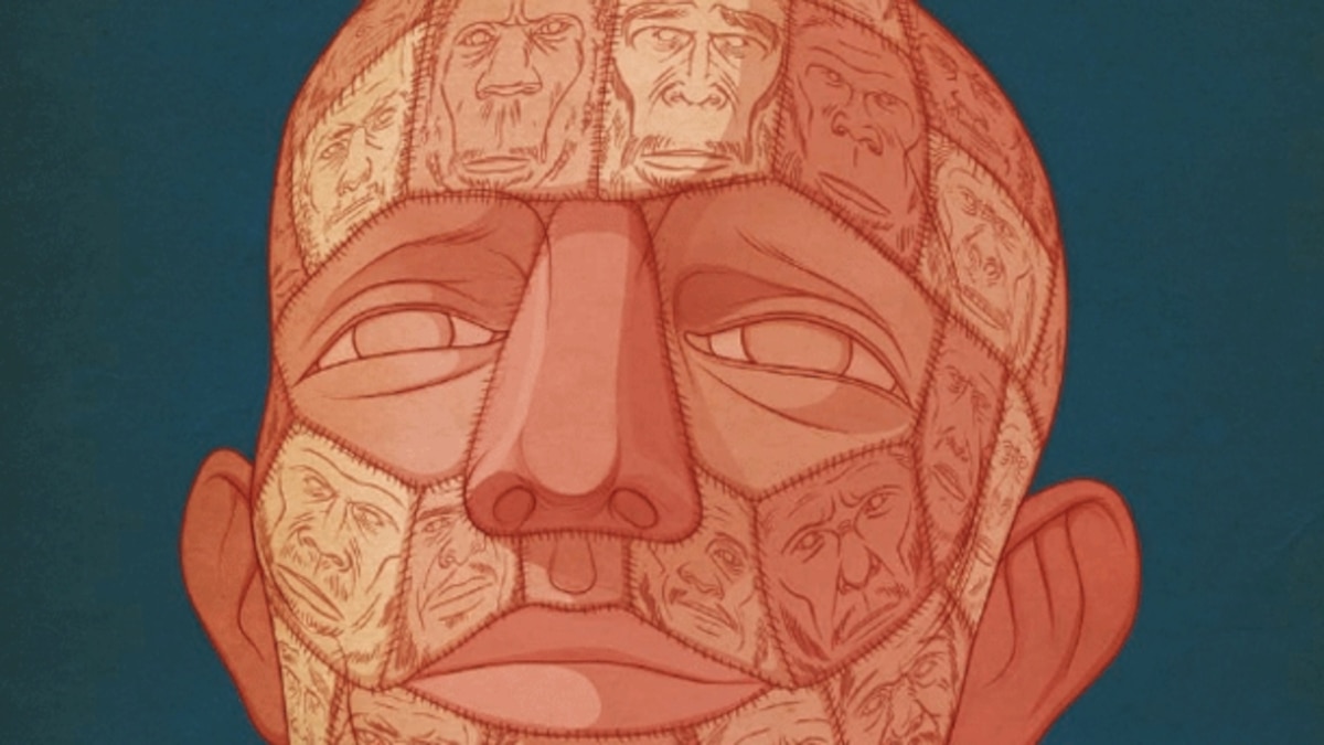 Our patchwork origins my new feature in New Scientist