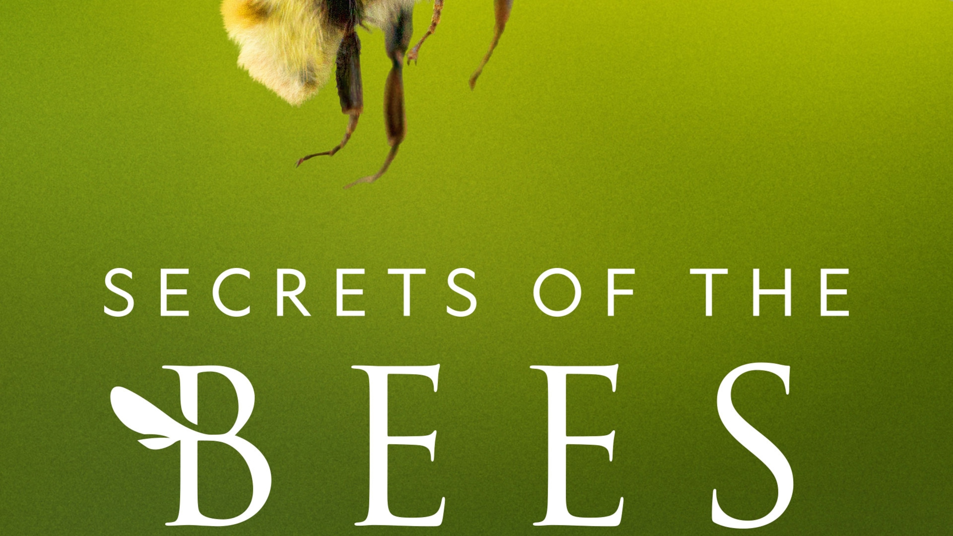 Secrets of the Bees