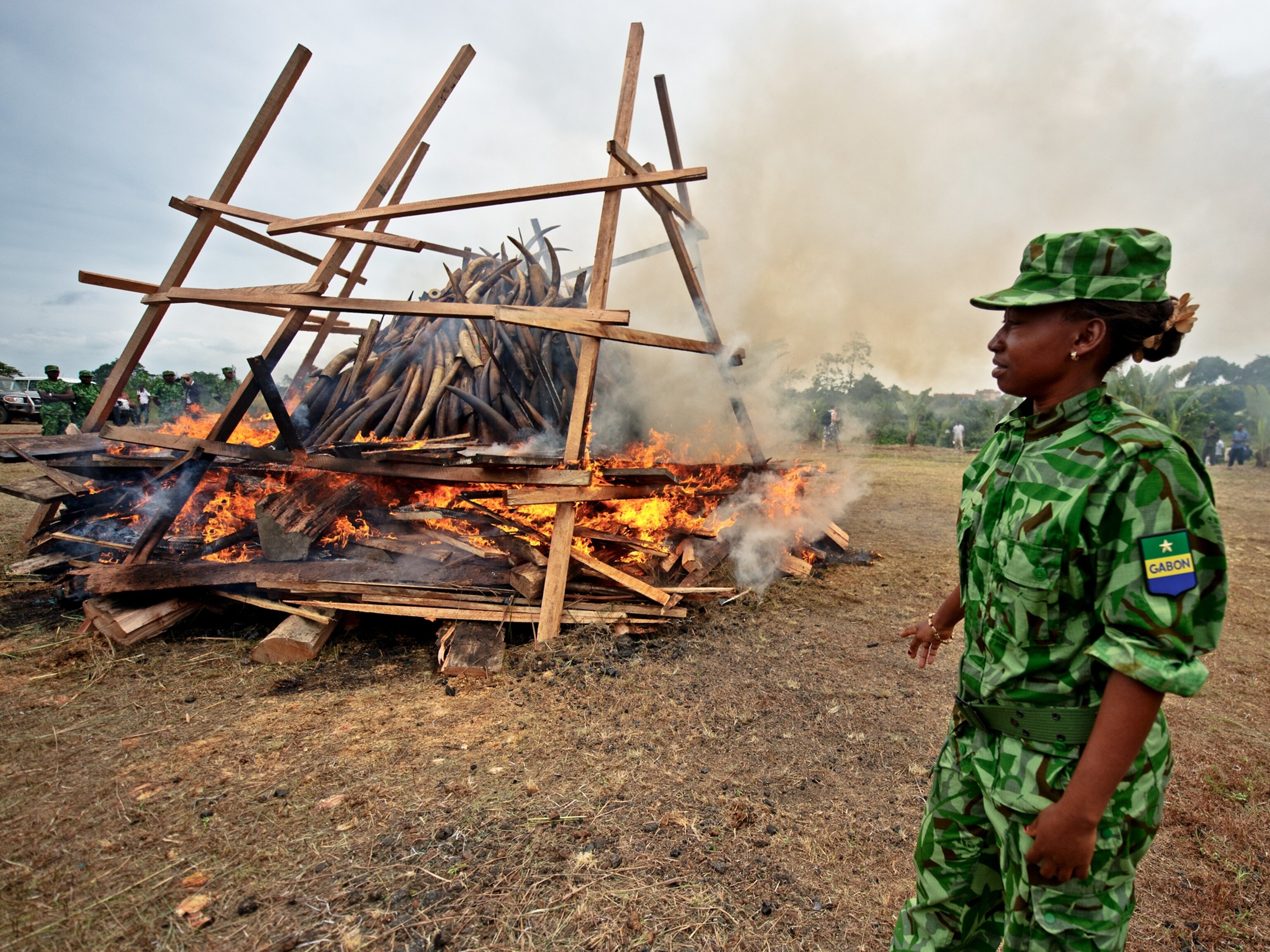 A guard supervises the burning of ivory in Gabon.