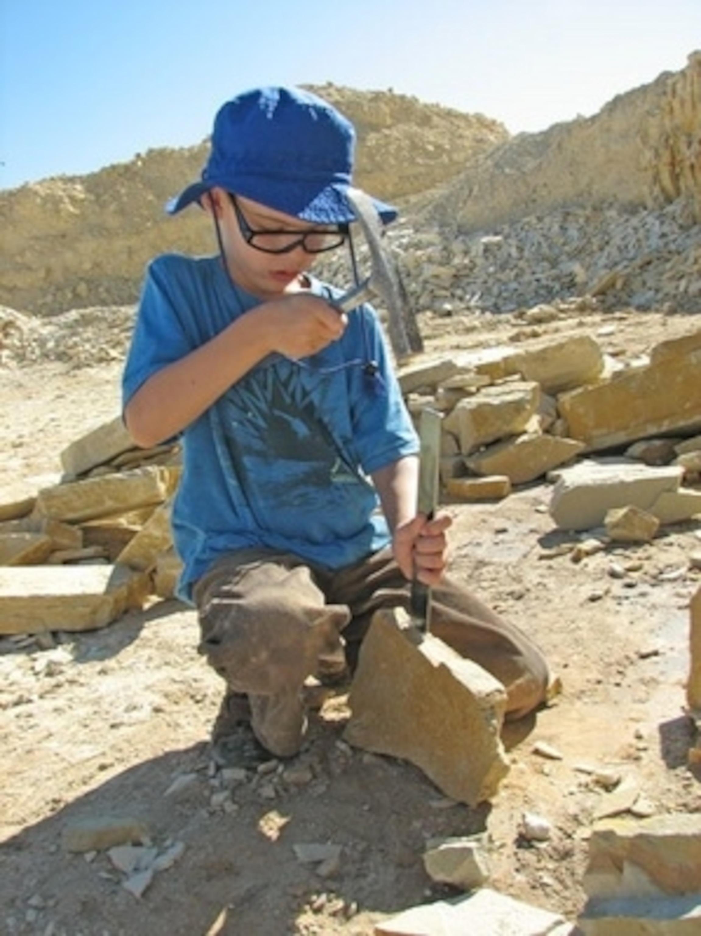 Dig Your Own Fossils