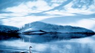 Cool Color Photography Color In Photography 16 Styles And Tips Cool Color Photography Color In Photography 16 Styles And Tips