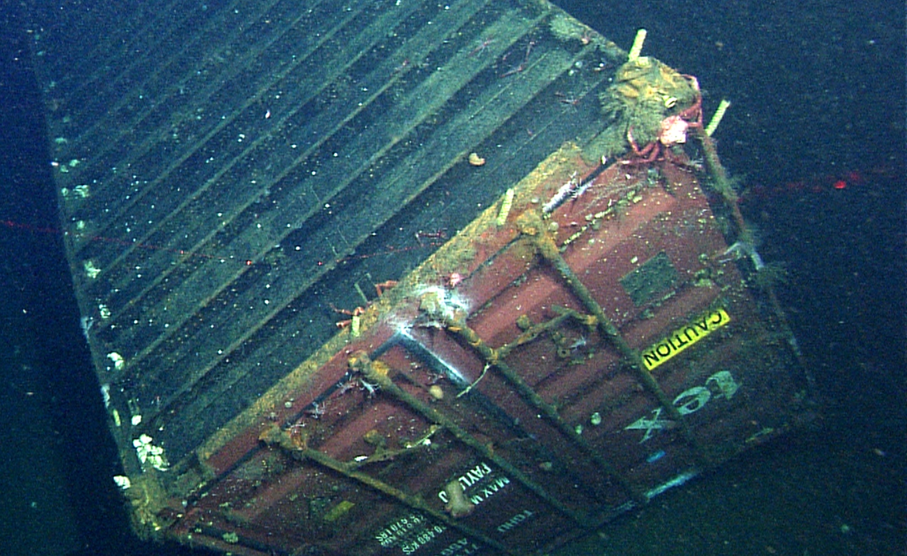 a sunken shipping container off California